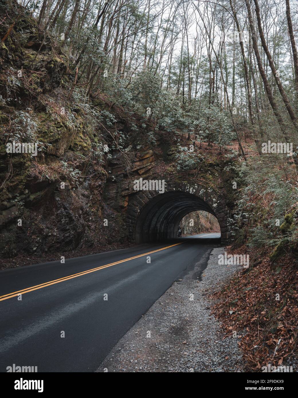 Kurzer Tunnel auf der Straße zur Cades Cove im Great Smokey Mountain National Park Stockfoto