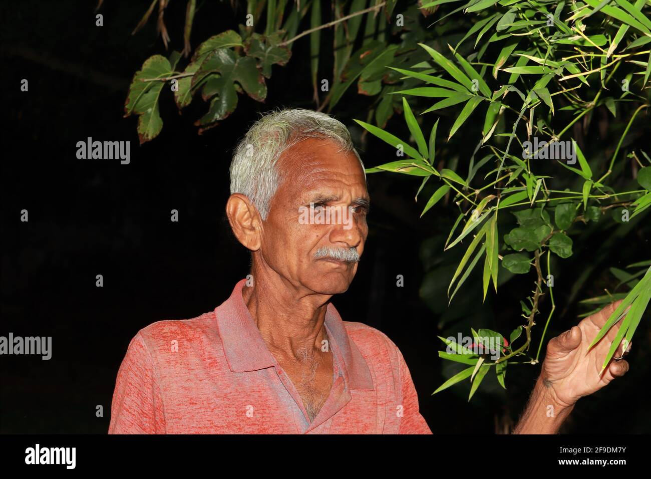 Nahaufnahme Profilansicht Foto von progressiven und wohlhabenden indischen älteren Landwirt Mann. Konzept bis Low-Key-Fotografie Stockfoto