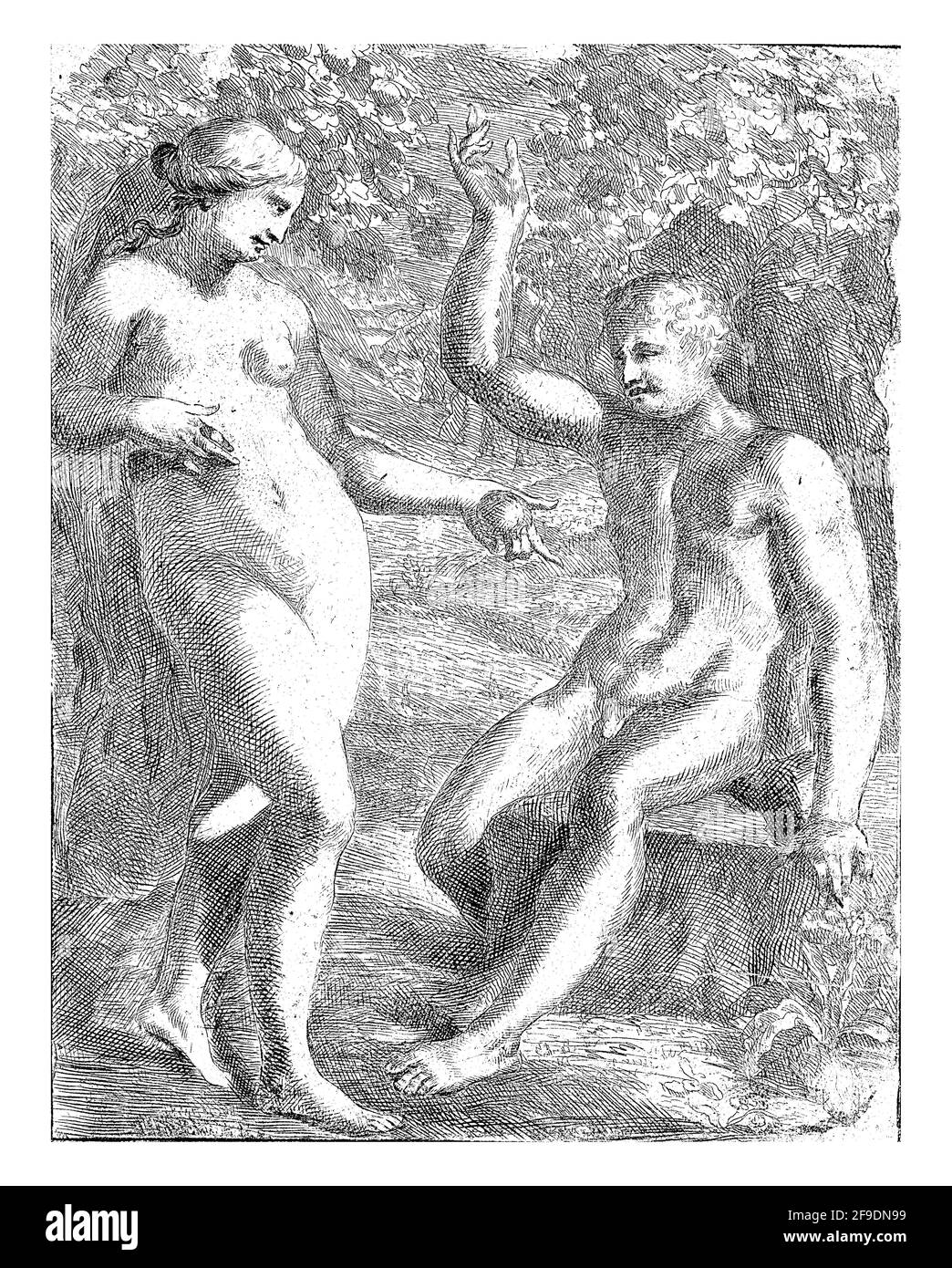 Adam und Eva stehen am Baum der Erkenntnis von gut und Böse. Eva bietet Adam eine Frucht vom Baum. Stockfoto