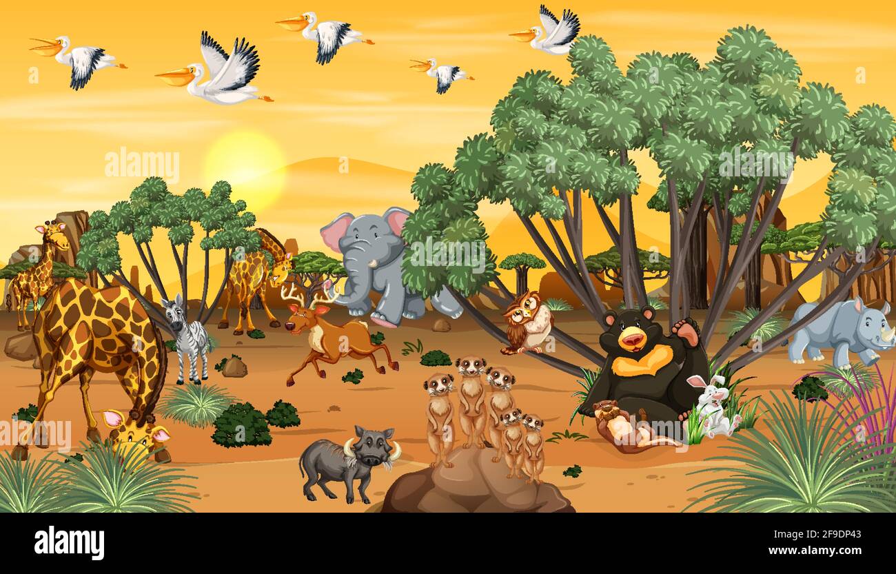 Afrikanisches Tier in der Waldlandschaft bei Sonnenuntergang Illustration Stock Vektor