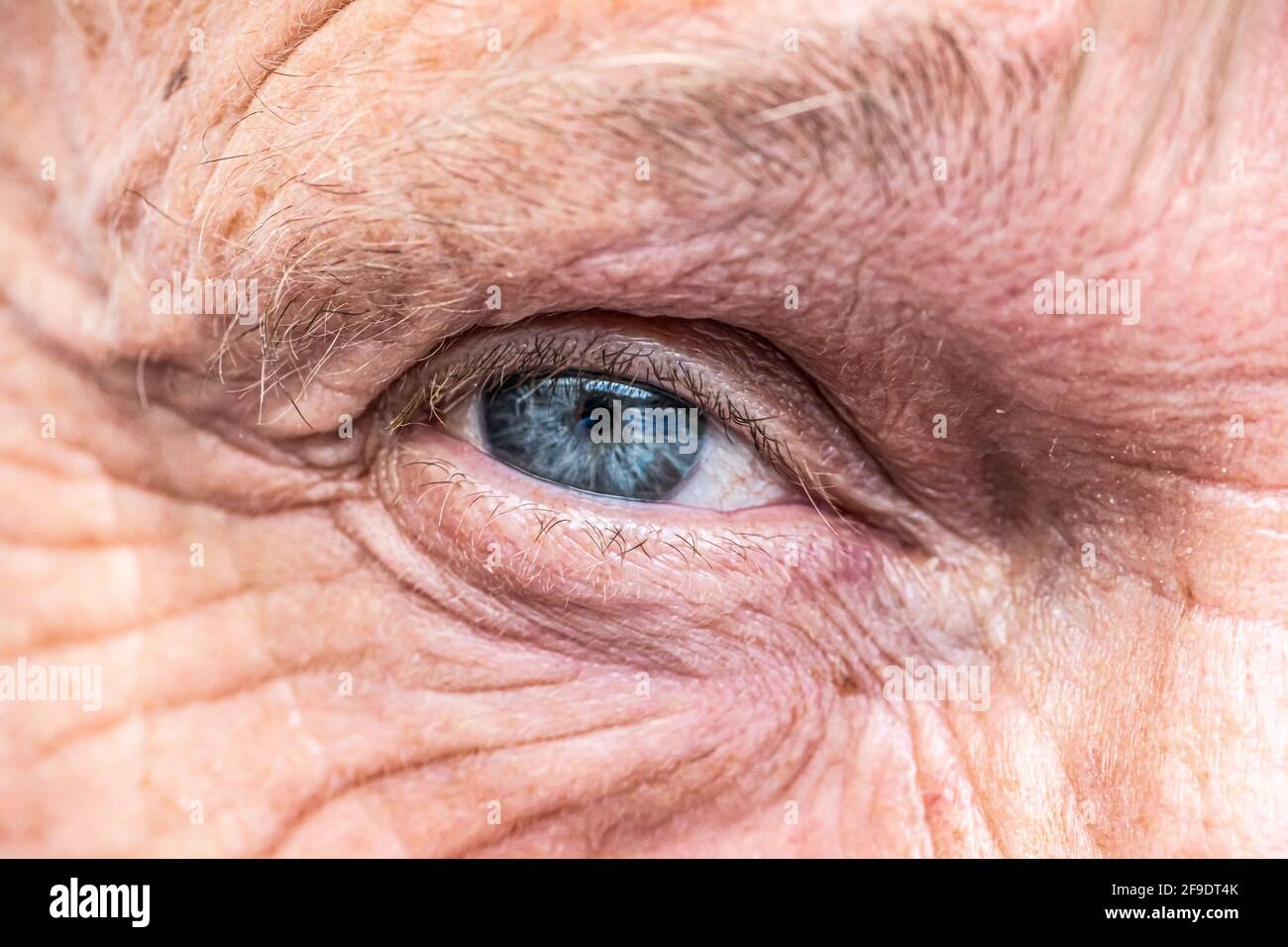 Nahaufnahme der Makroansicht auf dem blauen Auge eines lächelnden älteren Mannes. Stockfoto