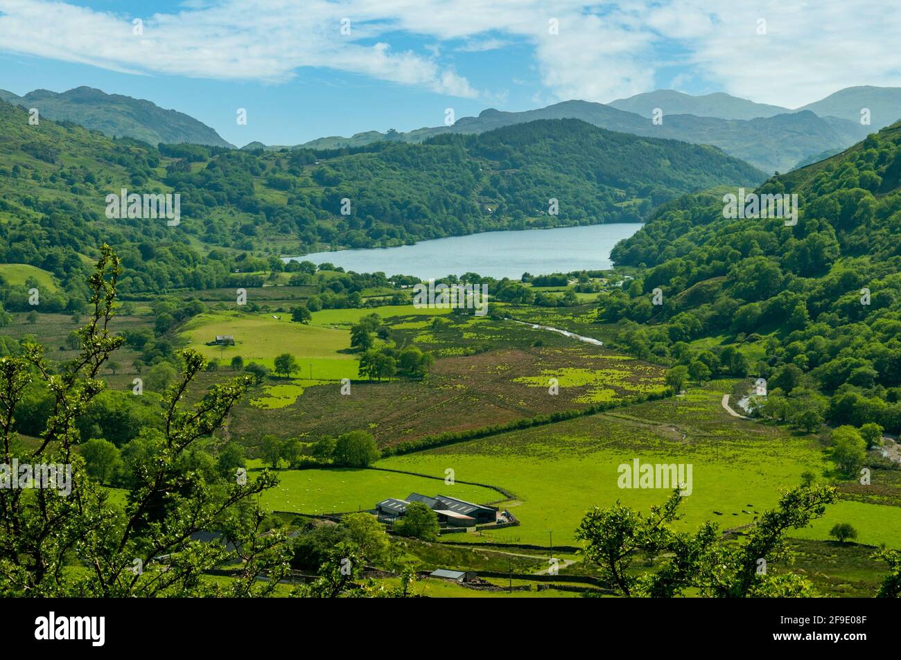 Lake Gwynant, Snowdonia, Gwynedd, Wales Stockfoto