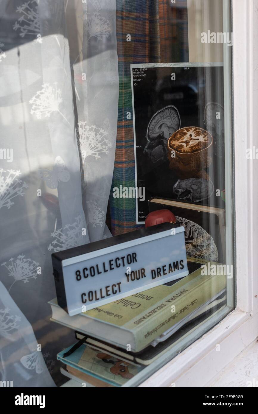 Im Vorderfenster eines Hauses - Ratschläge, um Ihre Träume und ein Poster mit einem Querschnitt des Gehirns zu sammeln. Petersfield, Cambridge, Großbritannien. Stockfoto