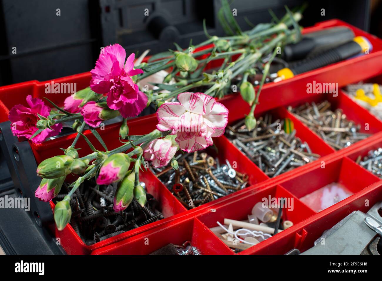 Geöffnete Werkzeugkiste mit Blumen auf der Oberseite. Labor Day Hintergrund, 1. Mai Konzept. Stockfoto