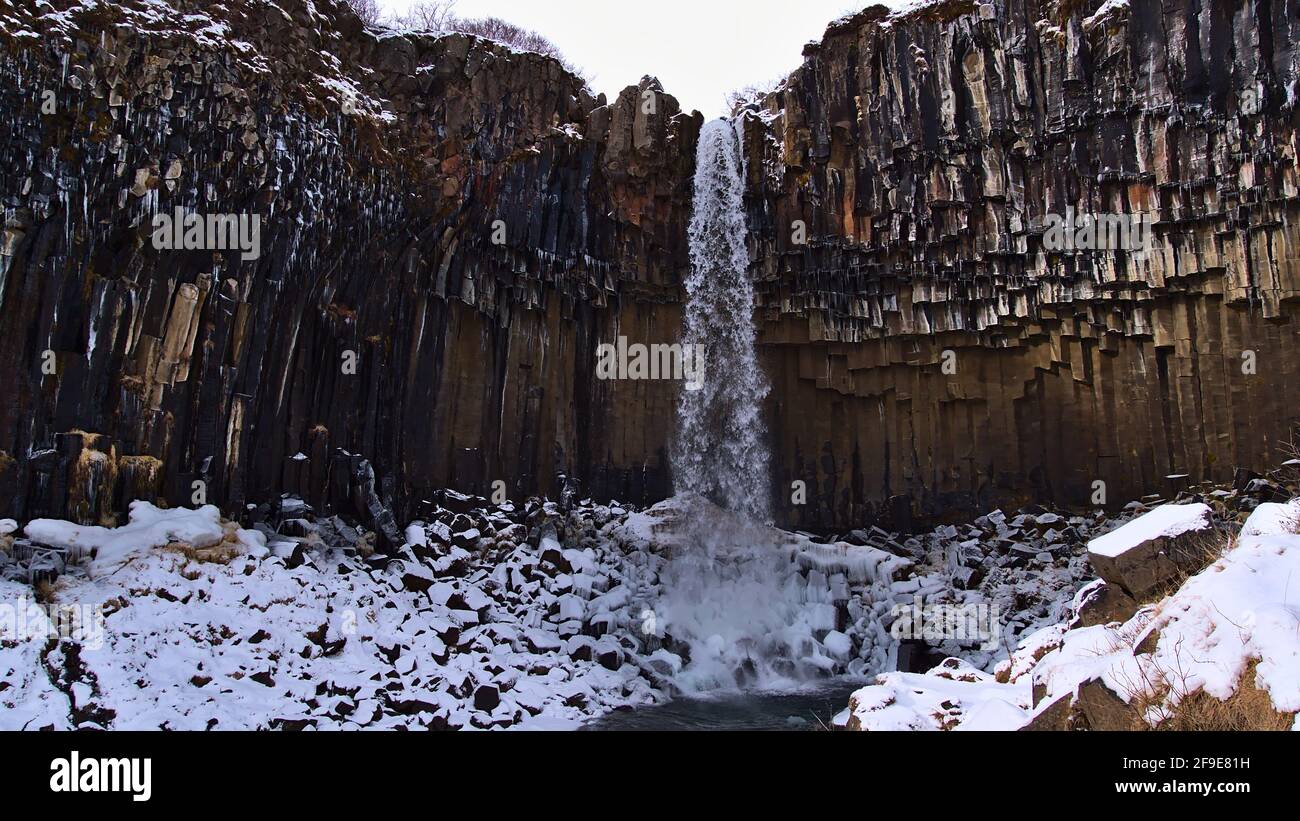 Schöner Blick auf die berühmte Kaskade Svartifoss, umgeben von vulkanischem Säulenbasalt in sechseckiger Form im Skaftafell-Nationalpark im Süden Islands. Stockfoto