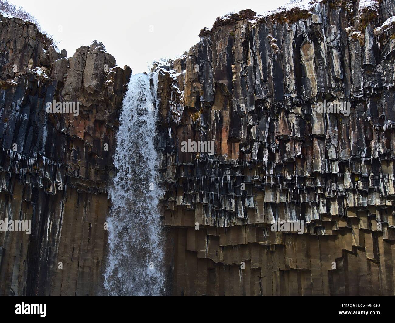 Nahaufnahme der Spitze des atemberaubenden Wasserfalls Svartifoss (schwarze Kaskade) mit bunten sechseckigen Basaltsäulen und Eiszapfen in Skaftafell. Stockfoto