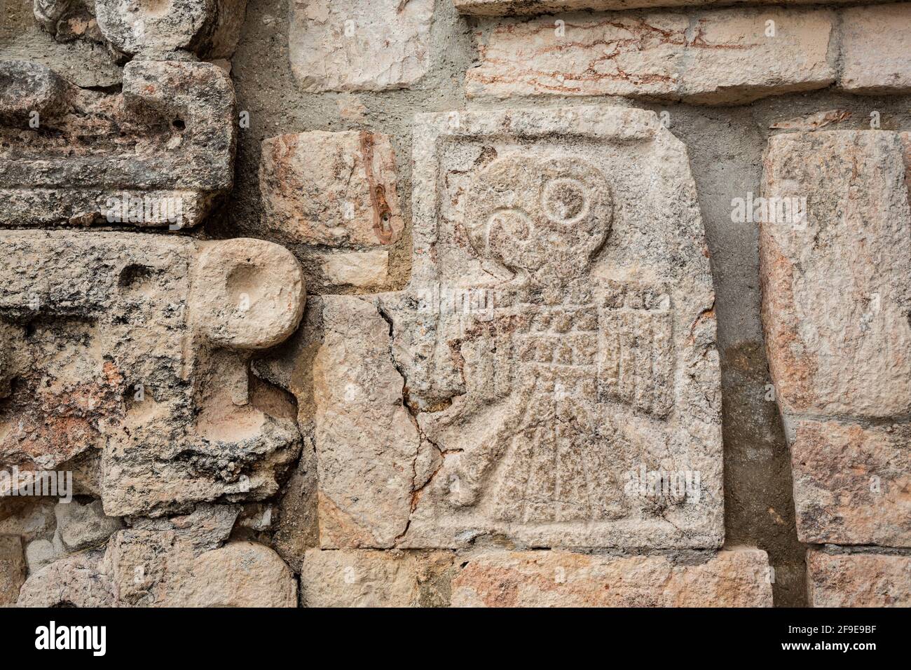 Adlerschnitzerei an der Wand der Maya-Pyramidenruinen in Uxmal, Yucatan, Mexiko Stockfoto