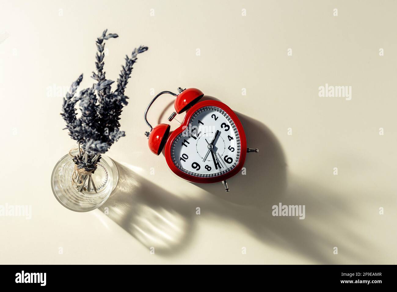 Draufsicht auf roten Wecker in Herzform Und ein paar frische Lavendelblüten in einer Vase, die darauf angeordnet ist Beigefarbener Hintergrund im Studio Stockfoto