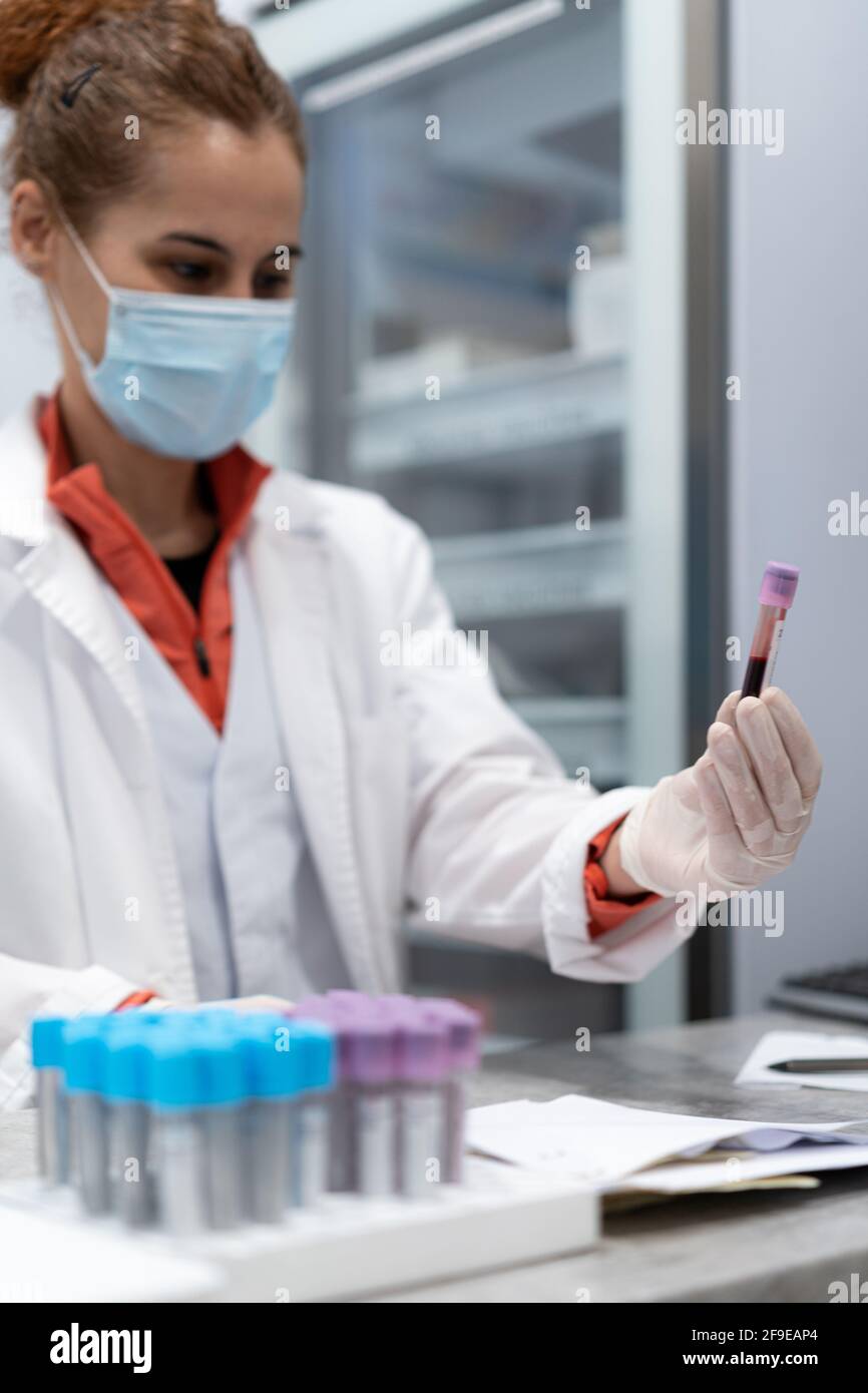 Weibliche Sanitäter in Maske und Handschuhen, die den Schlauch mit Blut halten Probe im modernen Labor in der Klinik Stockfoto