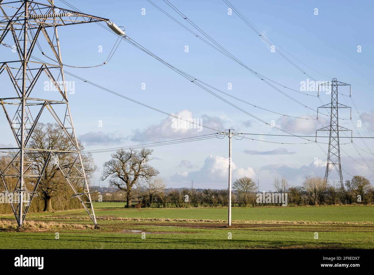 Nationale Netzstrommasten in der ländlichen Landschaft Großbritanniens Stockfoto