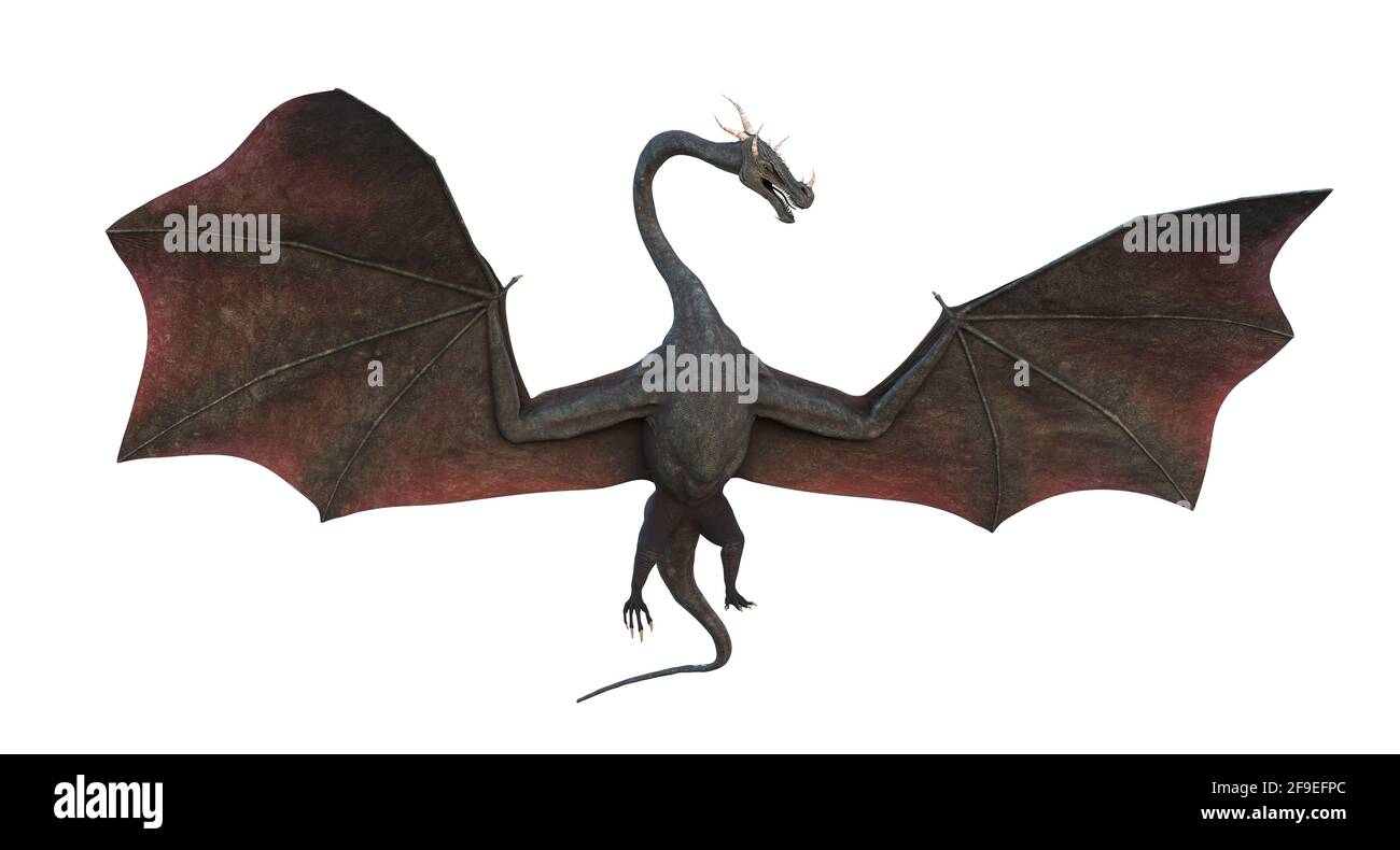 dragon, magische Kreatur auf weißem Hintergrund isoliert Stockfoto