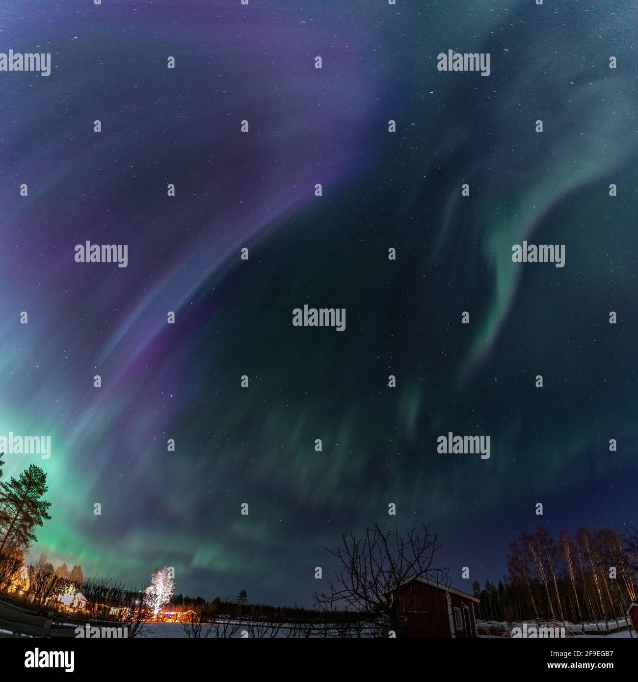 Nordlichter im klaren Sternenhimmel erstrahlen über der schwedischen Landschaft. Grüne und blaue Aurora Borealis Streifen, die sich durch das ganze ziehen Stockfoto