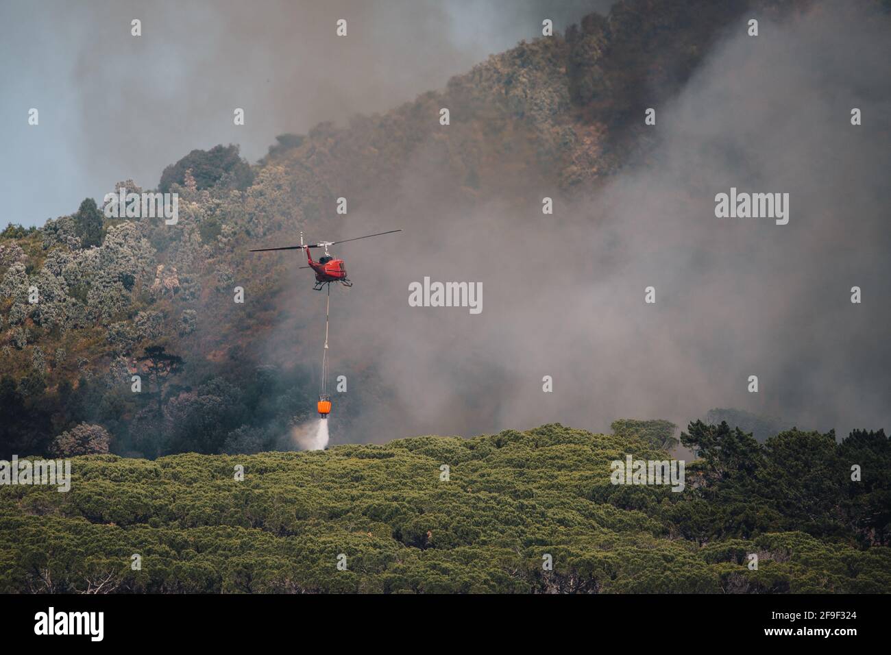 Feuerwehrleute eilen, um ein Feuer zu löschen, das durch Kiefern wütet Auf dem Tafelberg in der Nähe des Rhodes Memorial [Feuerwehrhubschrauber #capetownfire] Stockfoto