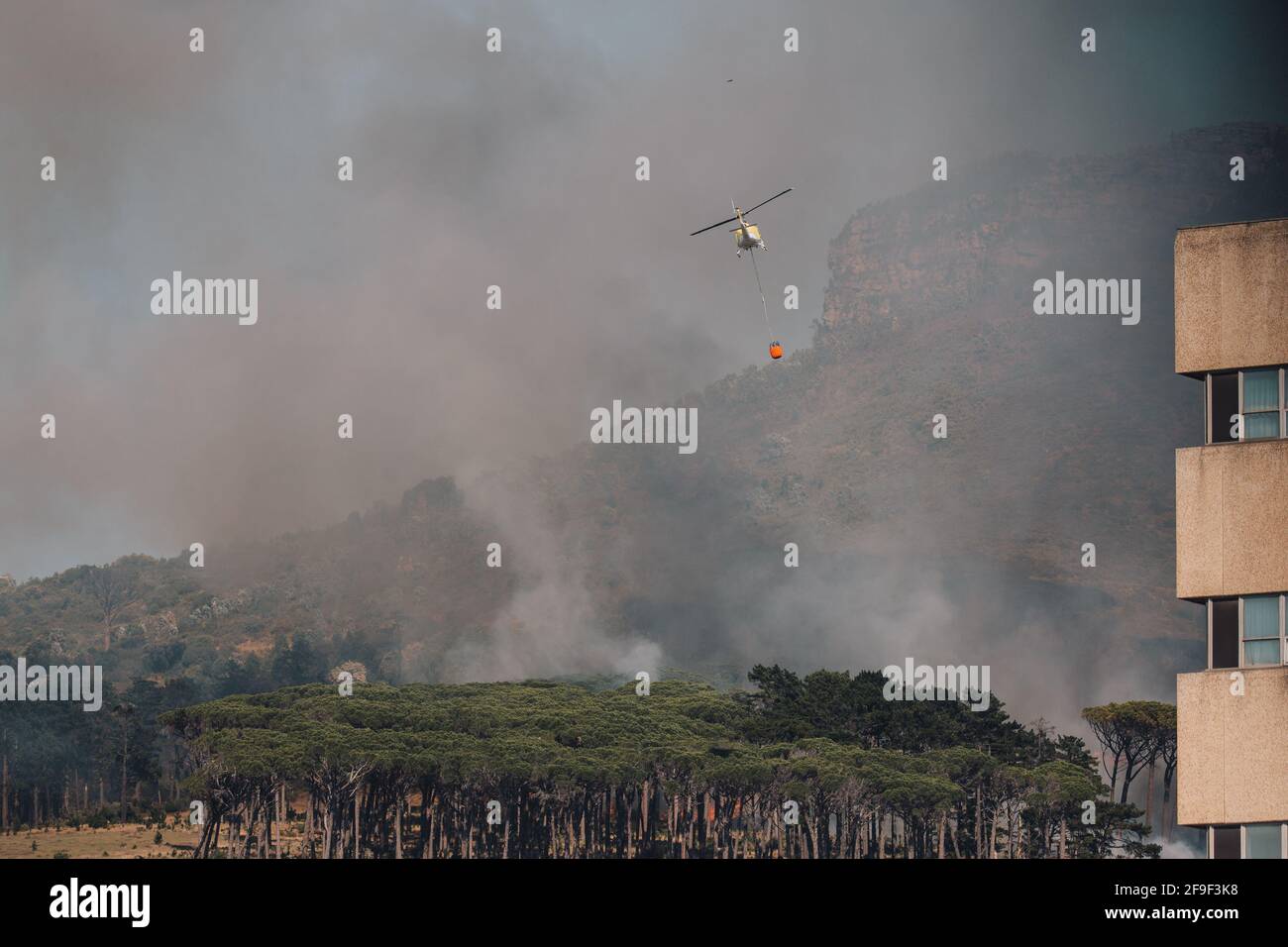 Feuerwehrleute eilen, um ein Feuer zu löschen, das durch Kiefern wütet Auf dem Tafelberg in der Nähe des Rhodes Memorial [Feuerwehrhubschrauber #capetownfire] Stockfoto