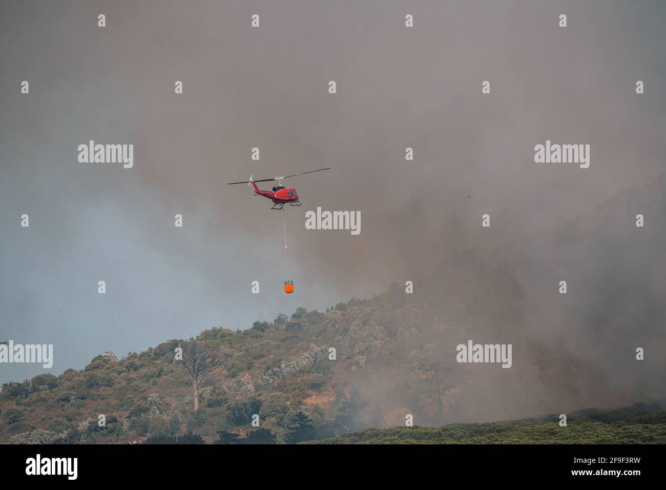 Feuerwehrleute eilen, um ein Feuer zu löschen, das durch Kiefern wütet Auf dem Tafelberg in der Nähe des Rhodes Memorial [Feuerwehrhubschrauber #capetownfire] Stockfoto