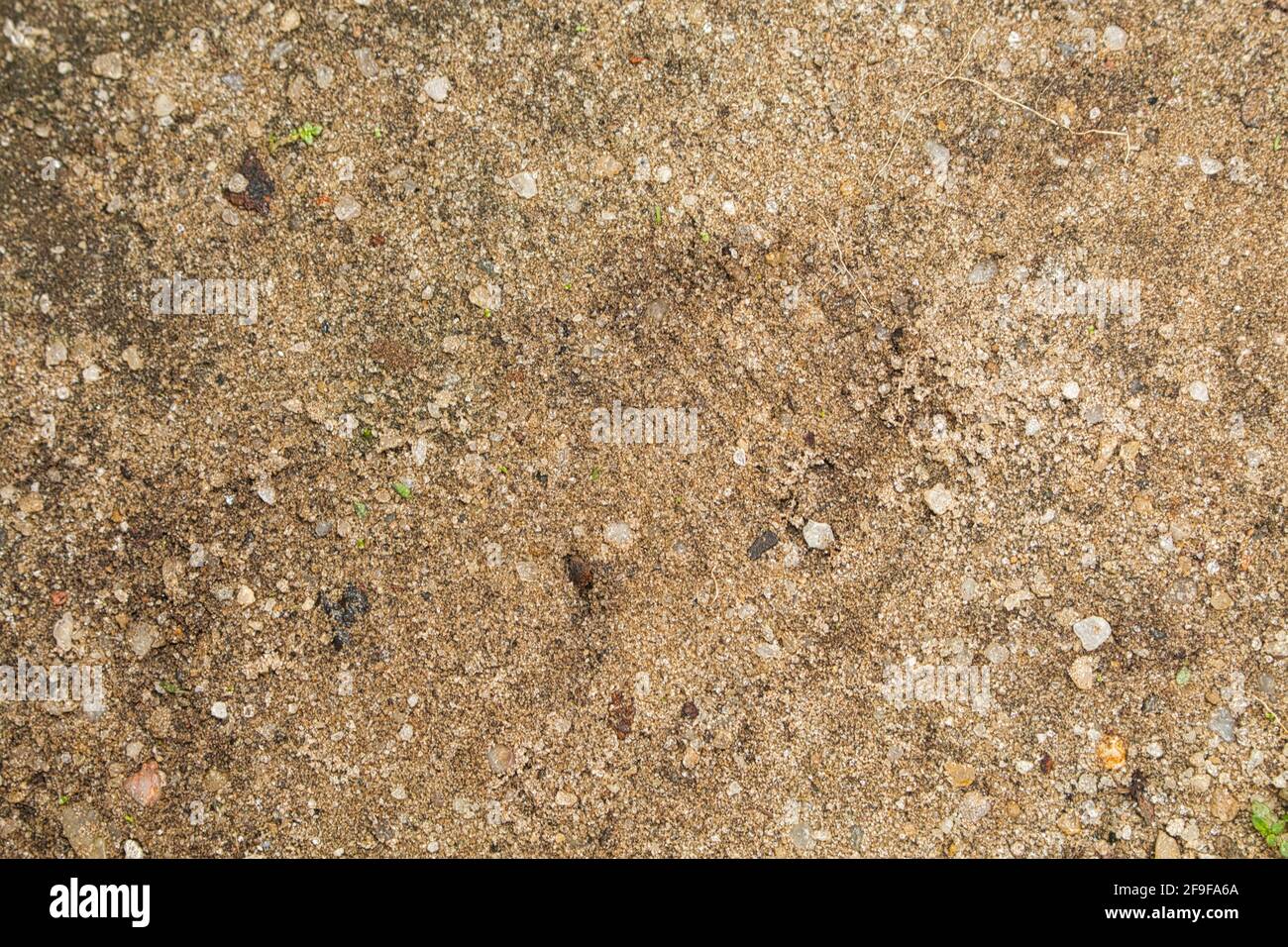 Beige Grunge Wandstruktur mit dunkelbraunen Flecken Stockfoto