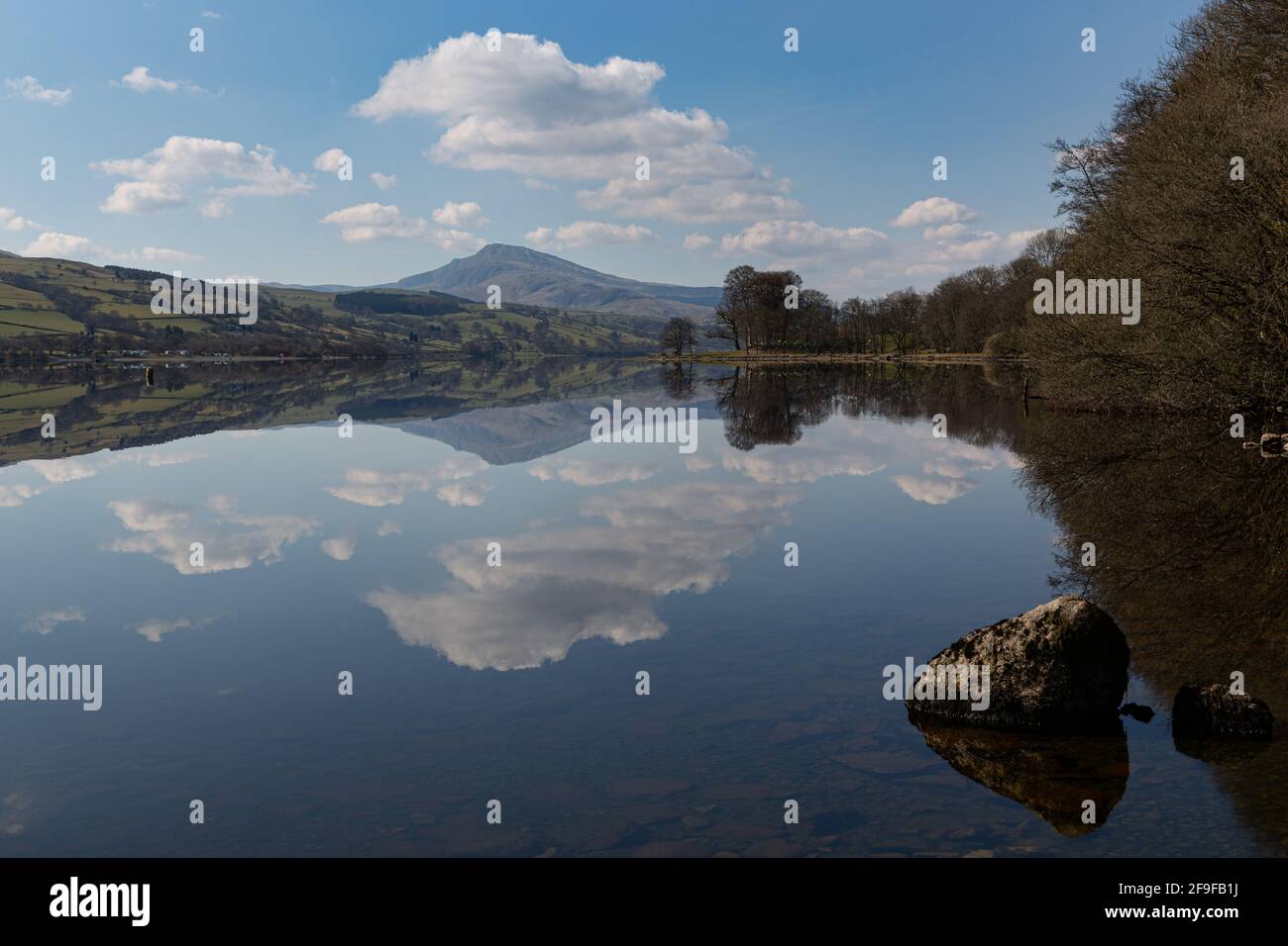 Reflexionen über Llyn Tegid / Bala Lake Stockfoto