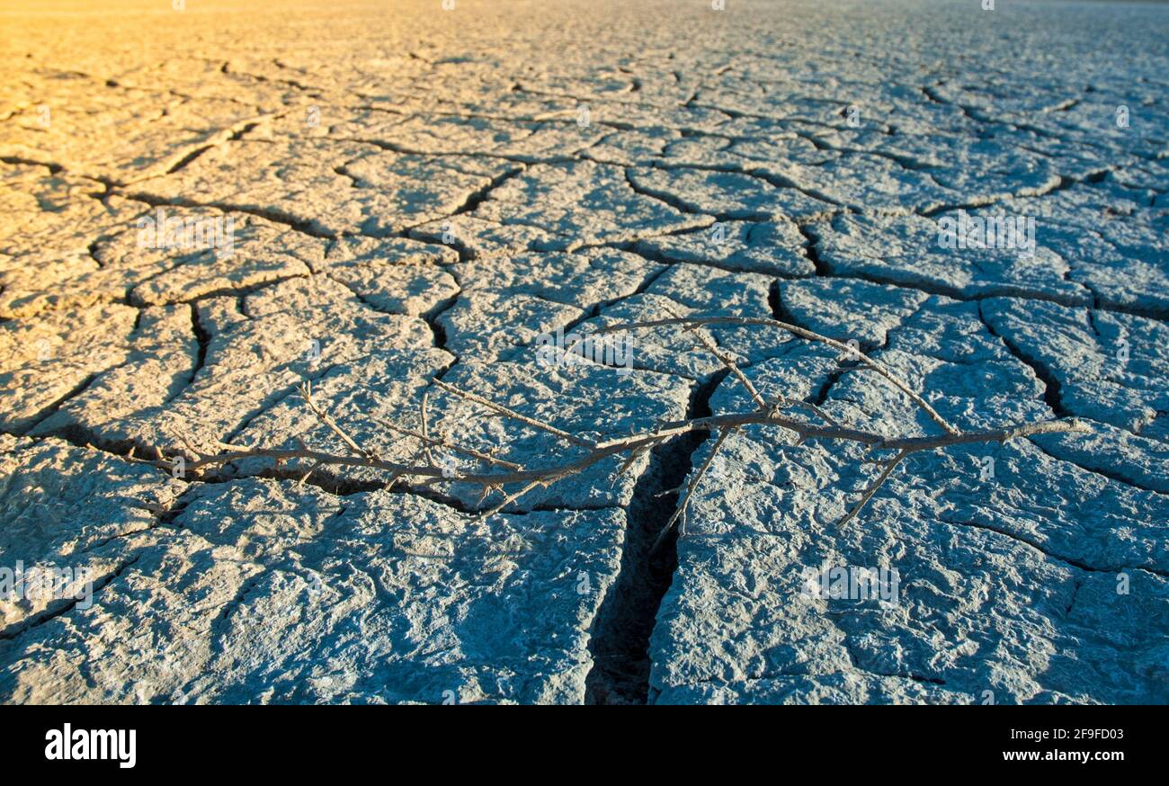 Gebrochener Boden in einem trockenen Teich, Provinz La Pampa, Patagonien, Argentinien Stockfoto