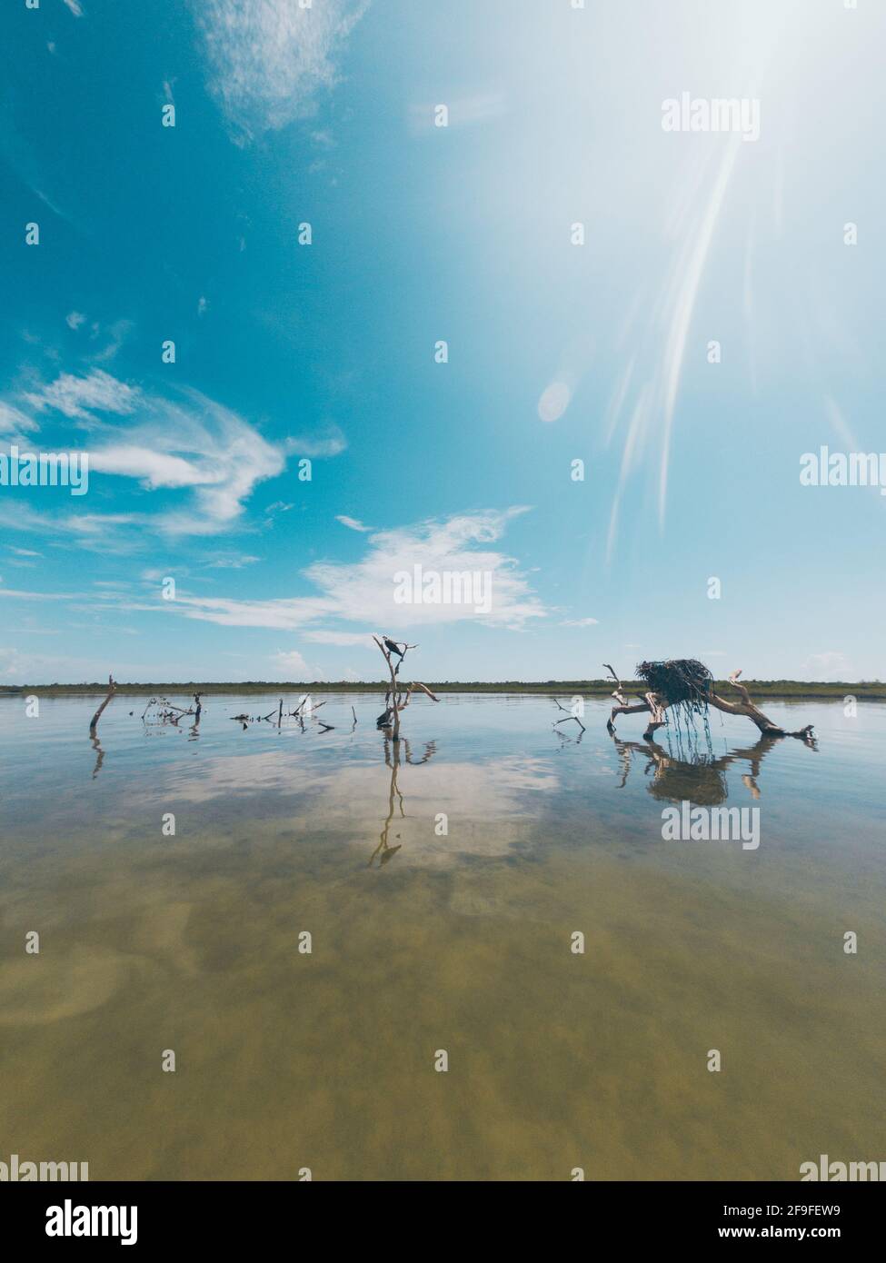 sian kaan Lagune in mexiko in der Natur Stockfoto