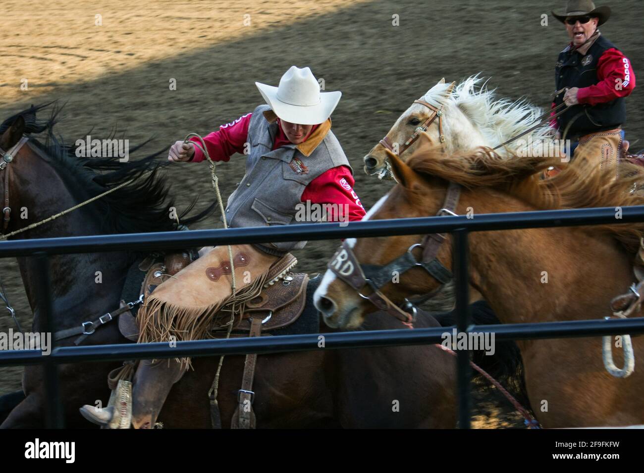 ELLENSBURG, WASHINGTON, USA - 25. Apr 2009: Ein Cowboy-Student des CWU College Rodeo greift nach einem auslaufenden Pferd Stockfoto