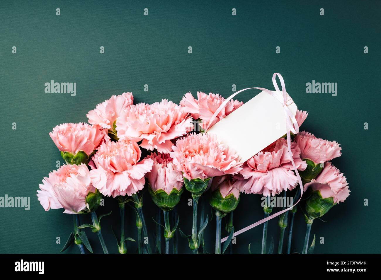 Bouquet von rosa Nelken mit leerem Anhänger auf dunkelgrünem Hintergrund. Stockfoto