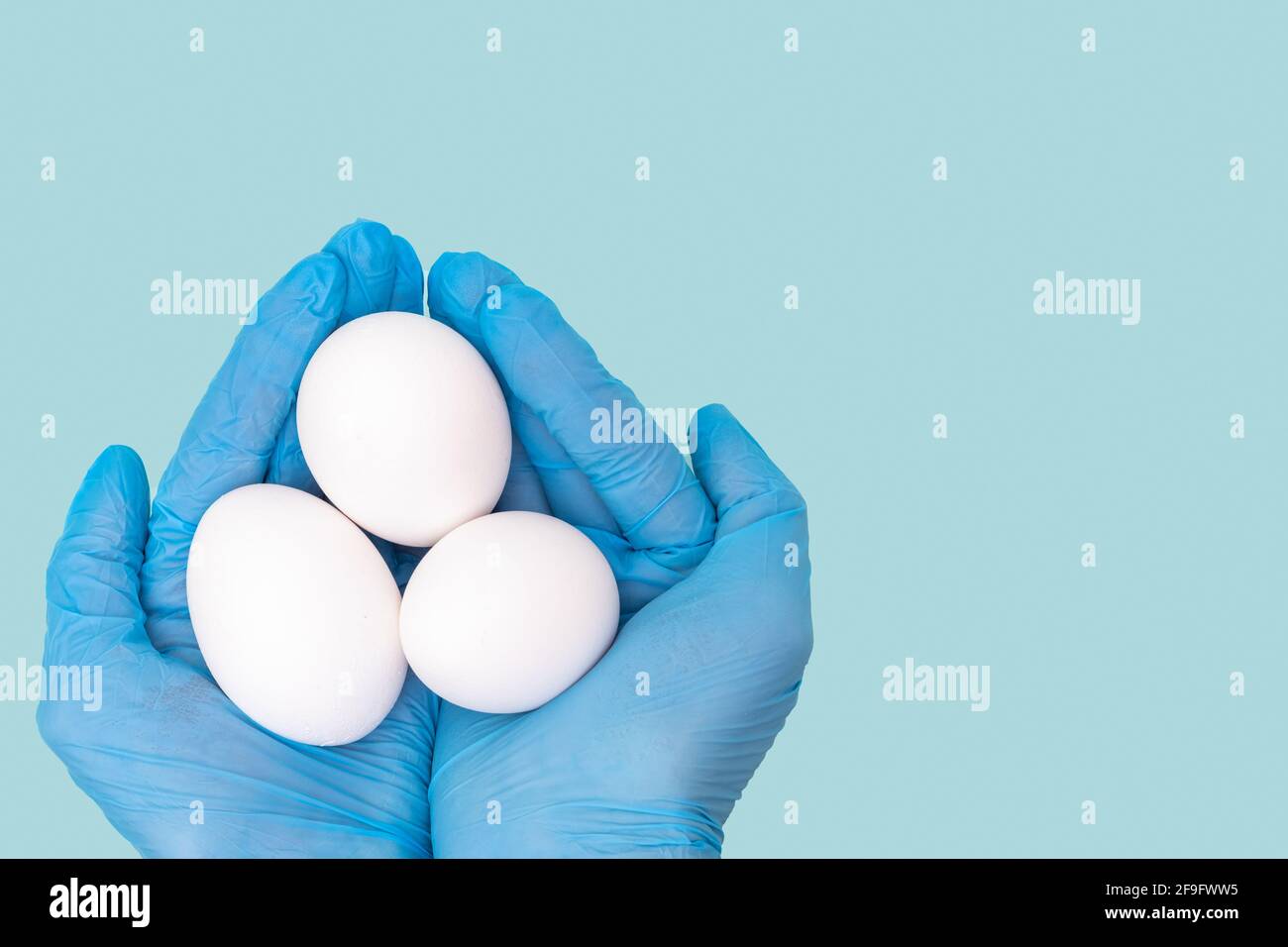 Hände in schützenden medizinischen Handschuhen, die weiße Eier auf blauem Hintergrund halten, Platz kopieren. Neues norma-Konzept. Gesundes und sicheres Lebensmittelkonzept Stockfoto