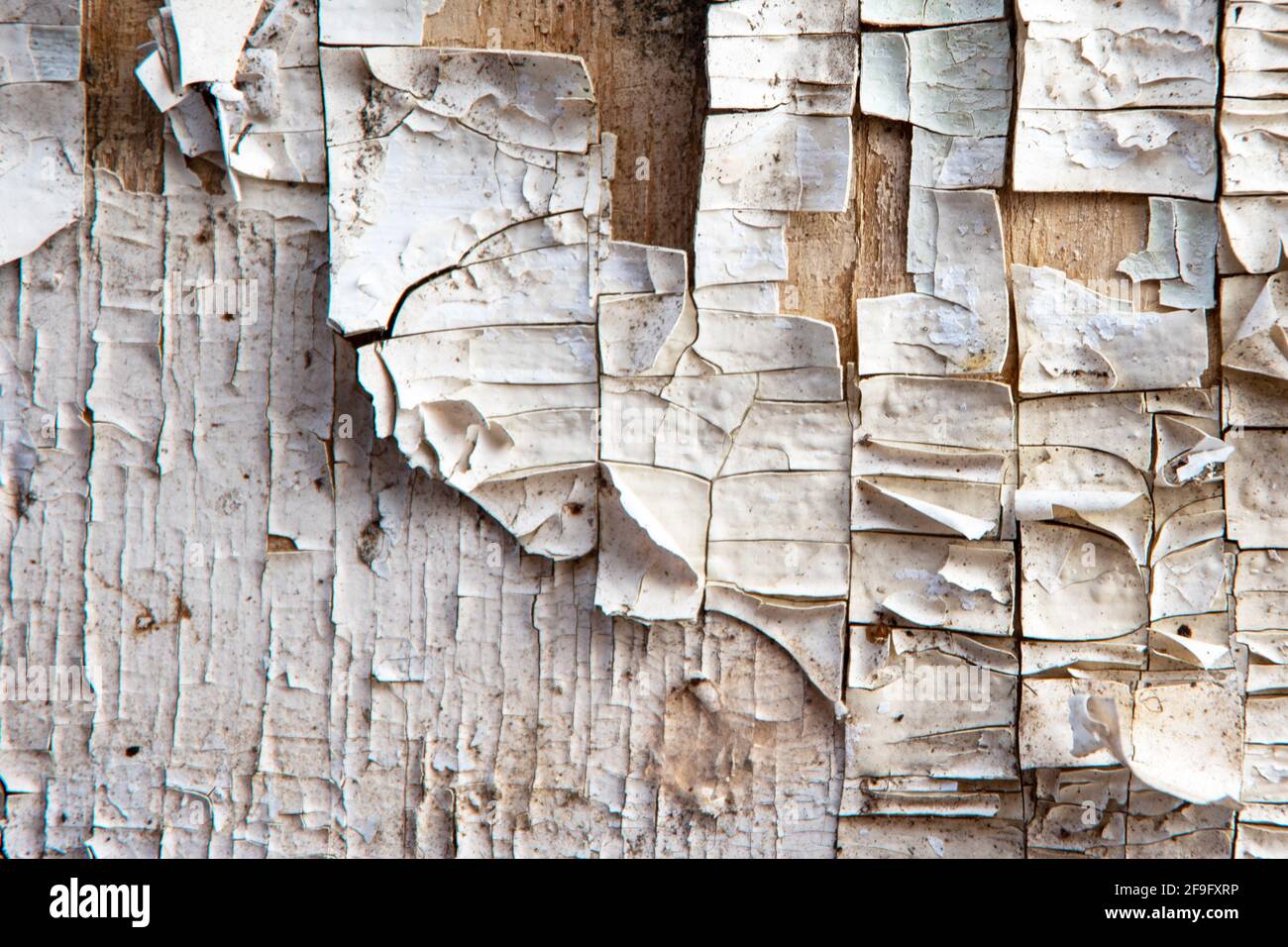 Holzbrett weißen alten Stil abstrakte Hintergrundobjekte für Möbel, ideal für einen Hintergrund im Loft-Stil. Stockfoto