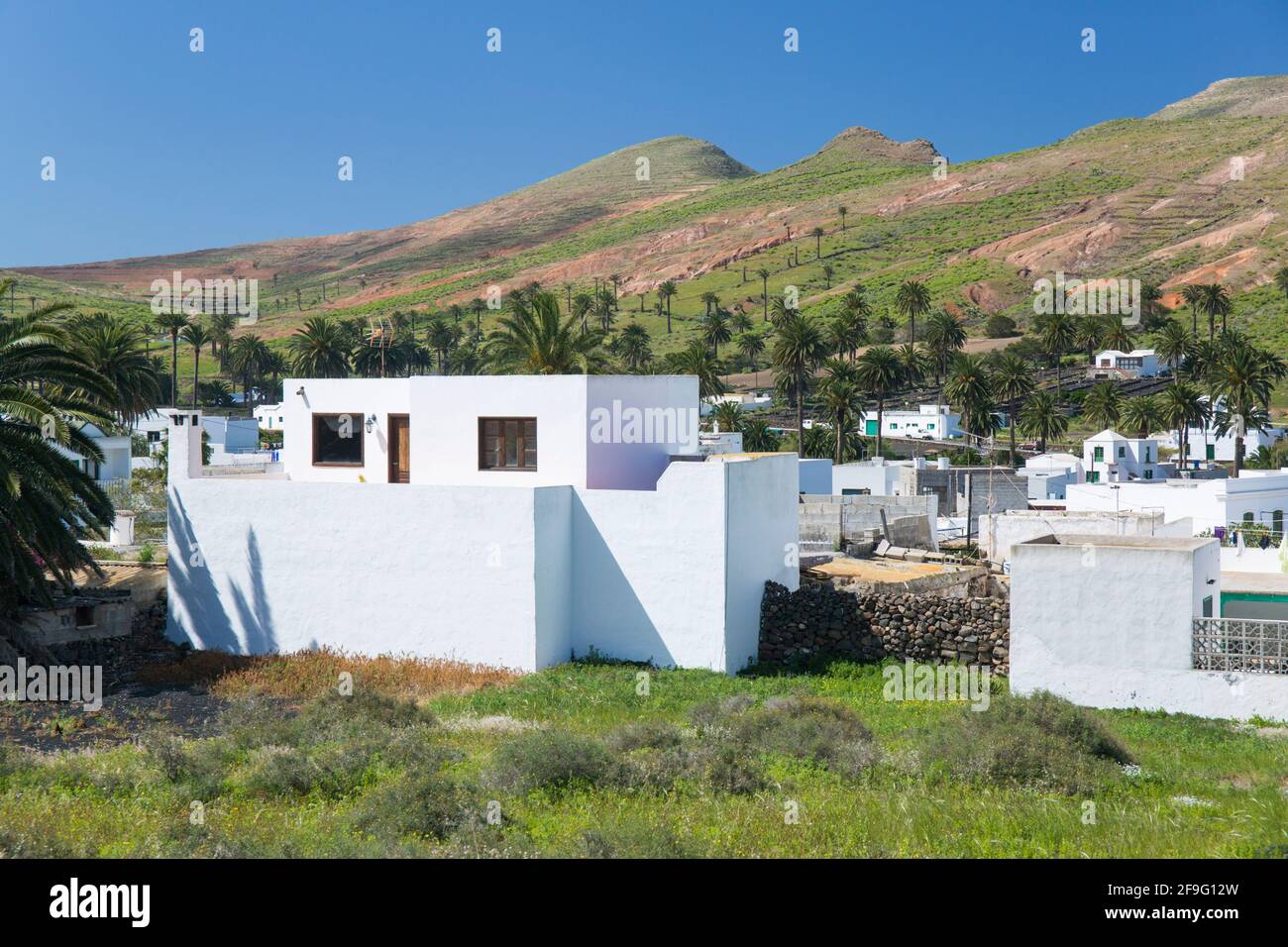 Haría, Lanzarote, Kanarische Inseln, Spanien. Typische weiß getünchte Dorfhäuser im Tal der tausend Palmen. Stockfoto