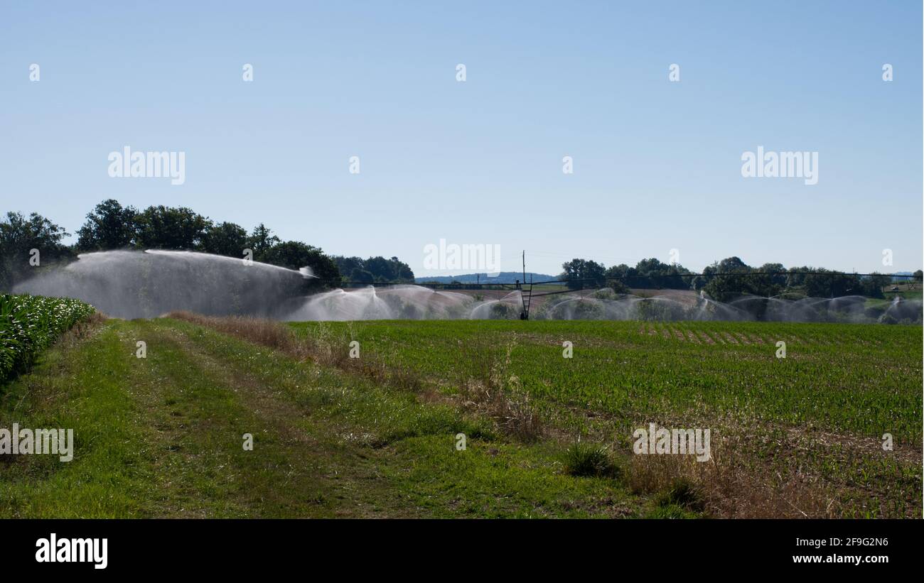 Center Pivot Bewässerungssystem für Mais, Lot-et-Garonne, SW Frankreich Stockfoto