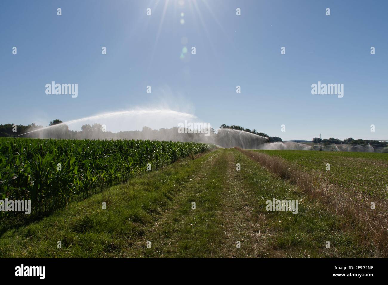 Schlauchtrommel, fahrendes Bewässerungssystem und Center Pivot Bewässerungssystem zur Maisbewässerung in angrenzenden Feldern, Lot-et-Garonne, SW Frankreich Stockfoto