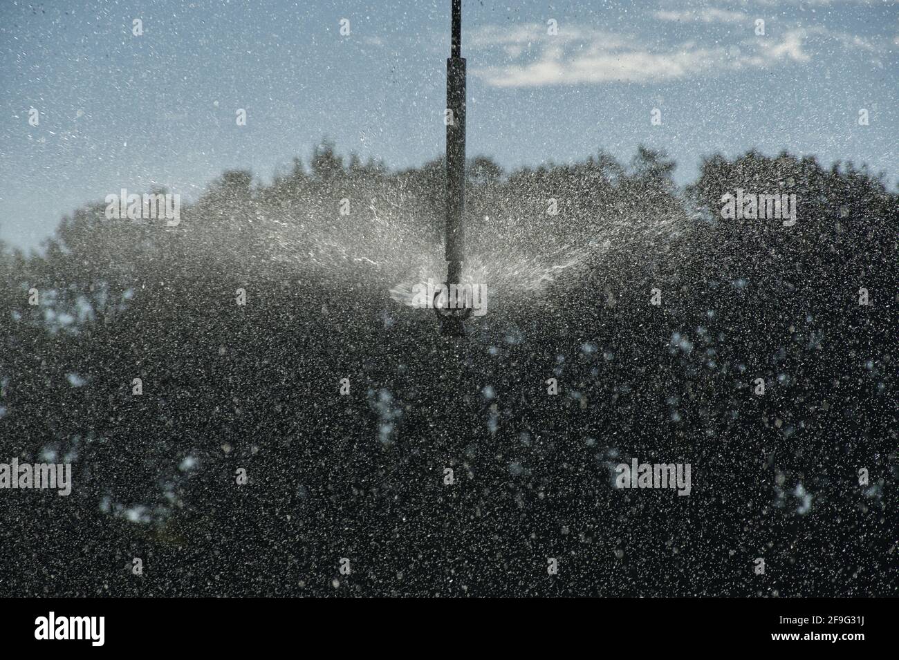 Wasserspritzung von einem Sprinkler auf einem Pivot-Feld-Bewässerungssystem des landwirtschaftlichen Zentrums. Stockfoto