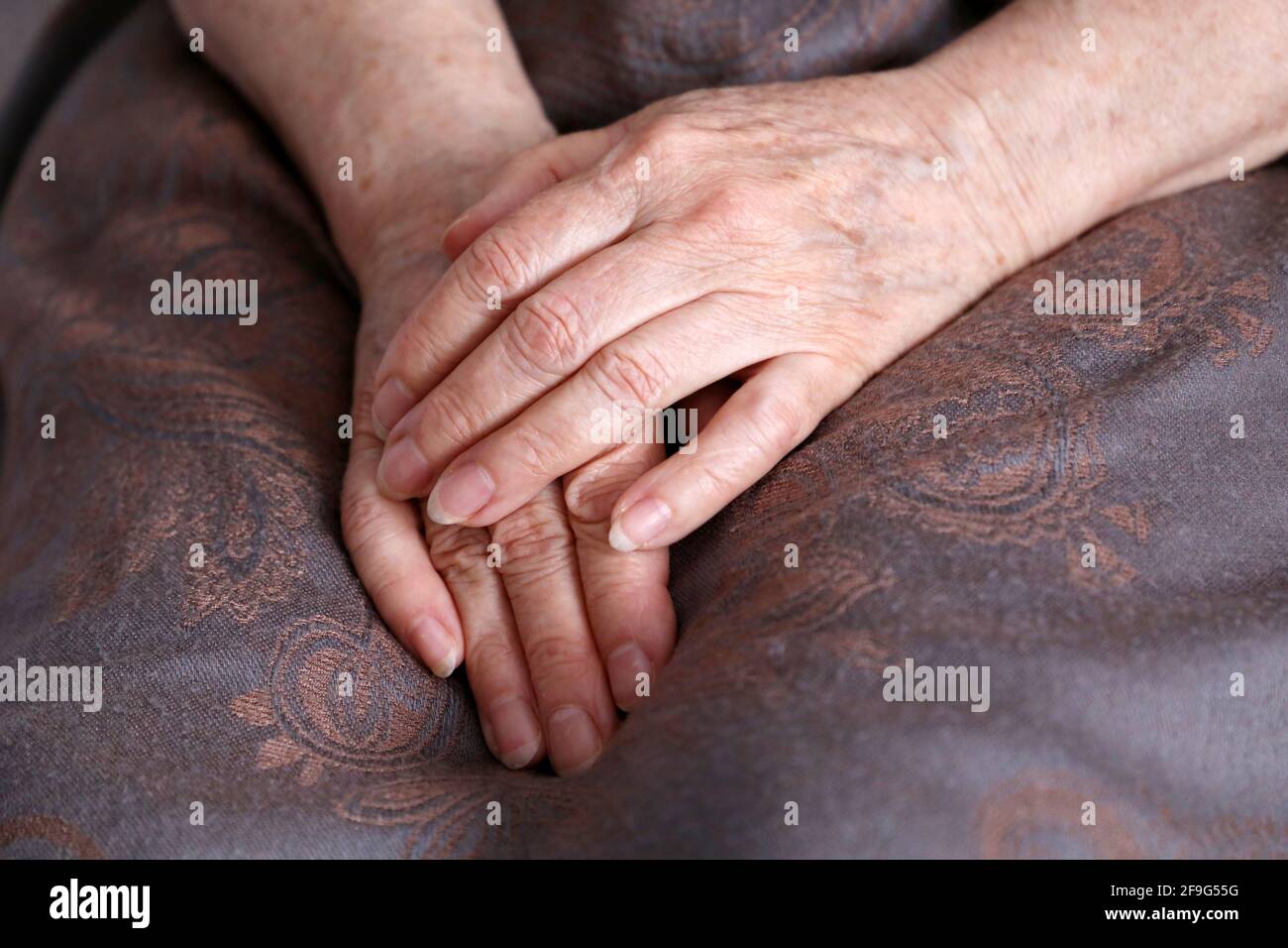 Faltige Hände einer älteren Frau, die mit einem Kopftuch bedeckt in ihrem Schoß gefaltet ist. Das Leben alter Menschen Stockfoto