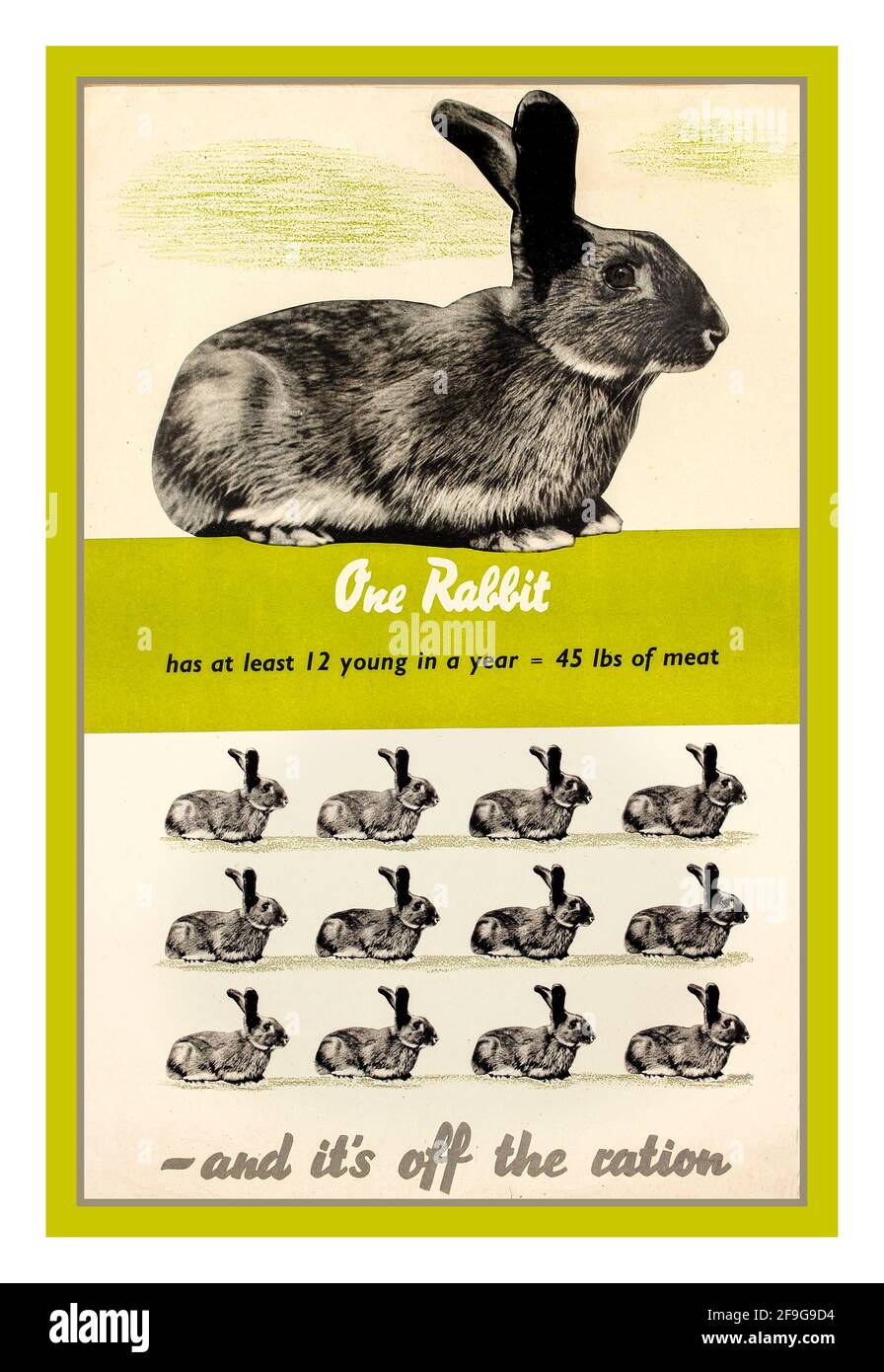 Britischer Propaganda-Plakat zur Rationierung von Lebensmitteln aus dem 2. Weltkrieg in Großbritannien: „One Rabbit and it's off the ration“. ' hat mindestens 12 Junge in einem Jahr 45 Pfund Fleisch' Land: Großbritannien. Jahr: 1940er-Jahre-zweiter Weltkrieg Stockfoto