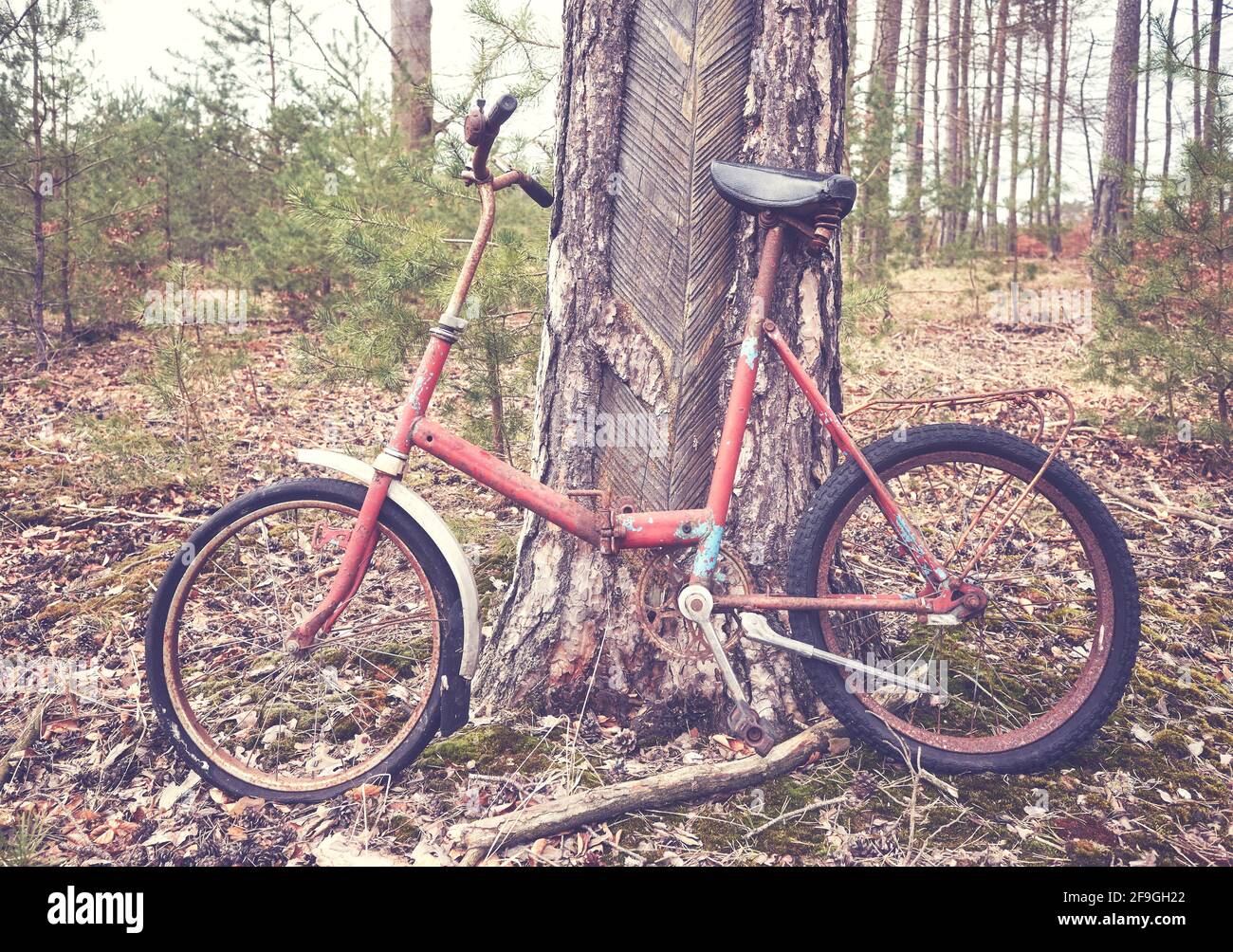 Altes gebrochenes rostes Fahrrad in einem Wald, farblich getöntes Bild. Stockfoto