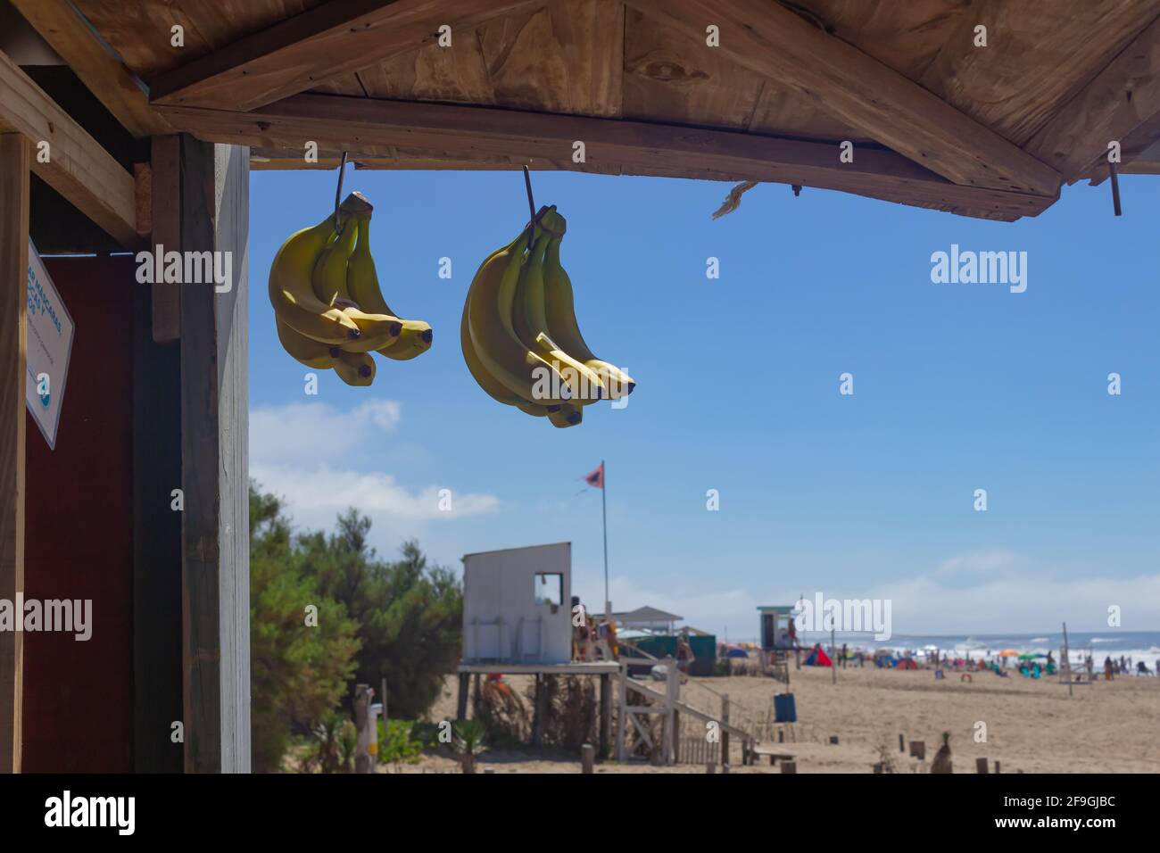 Ein paar Bananen in einem Geschäft am Strand an einem sonnigen Tag. Stockfoto