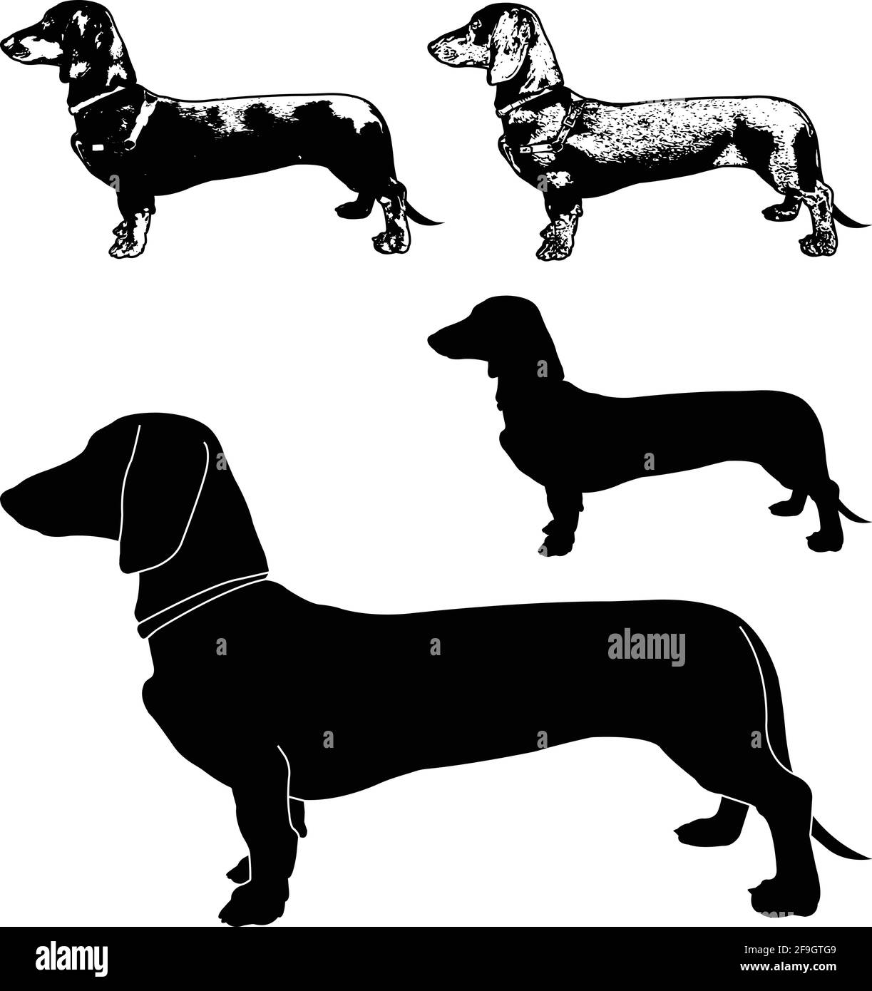 Dackel Hund Silhouette und Skizze Illustration - Vektor Stock Vektor