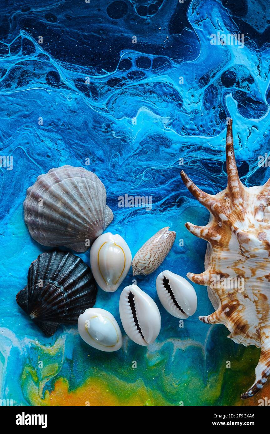 Muscheln auf einem hellen Hintergrund. Acryl-Gießen Stockfoto