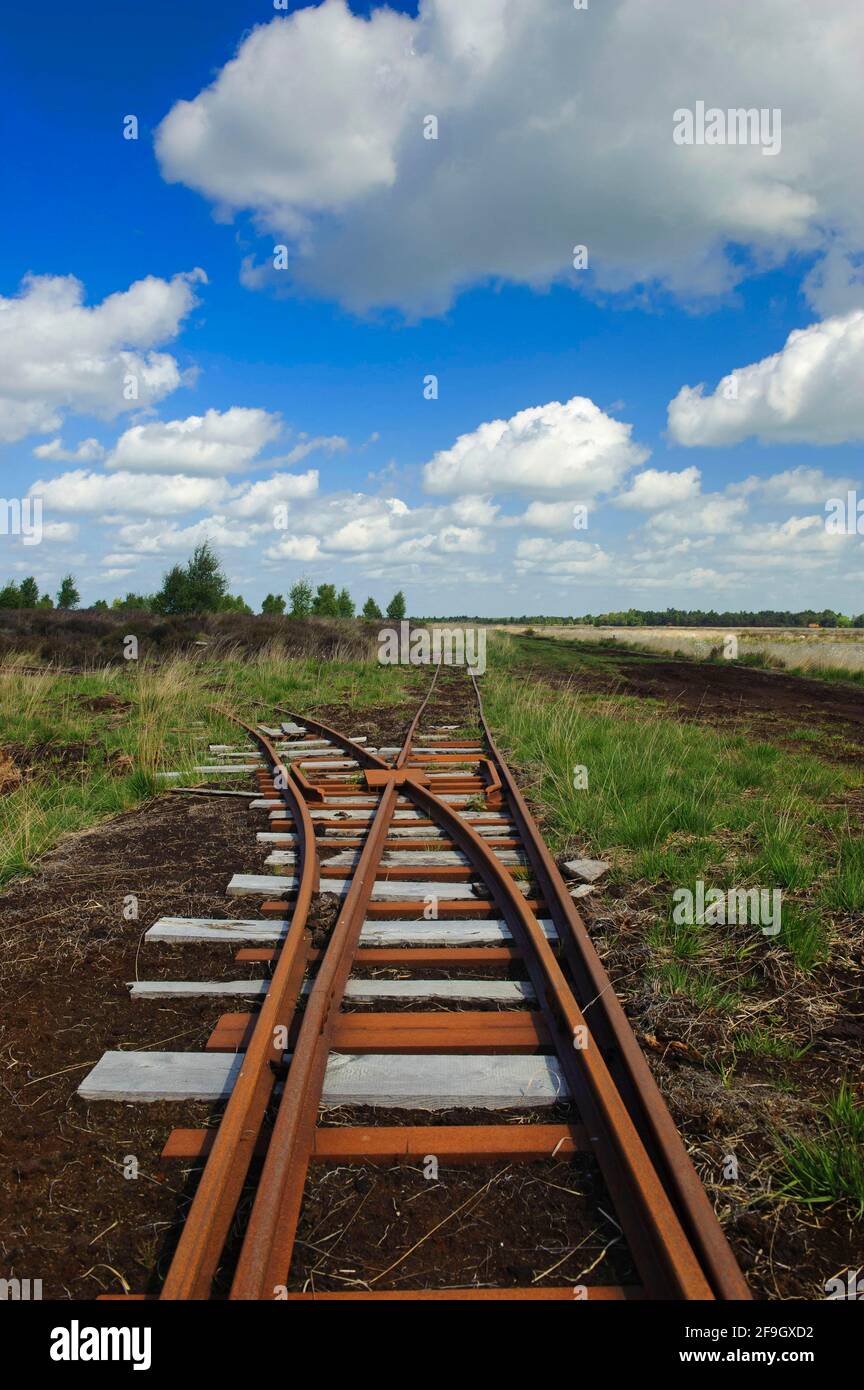 Schienen für den Transport von Moor, Torfgewinnung, Goldenstedter Moor, Niedersachsen, Deutschland Stockfoto