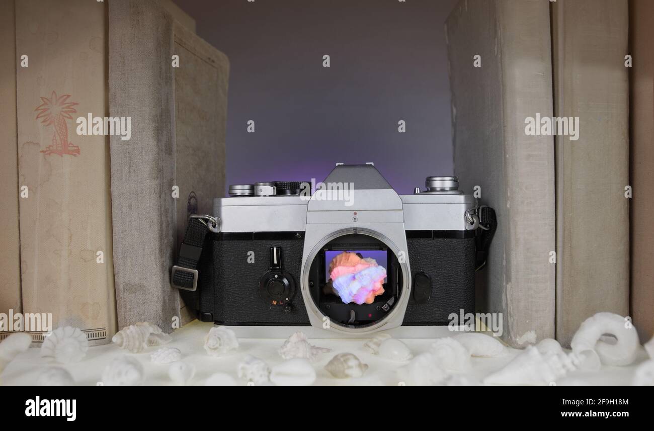 Eine Ansicht einer farbigen Muschel in einer klassischen Filmkamera. Vor, eine Vielzahl von weißen Muscheln.. Stockfoto