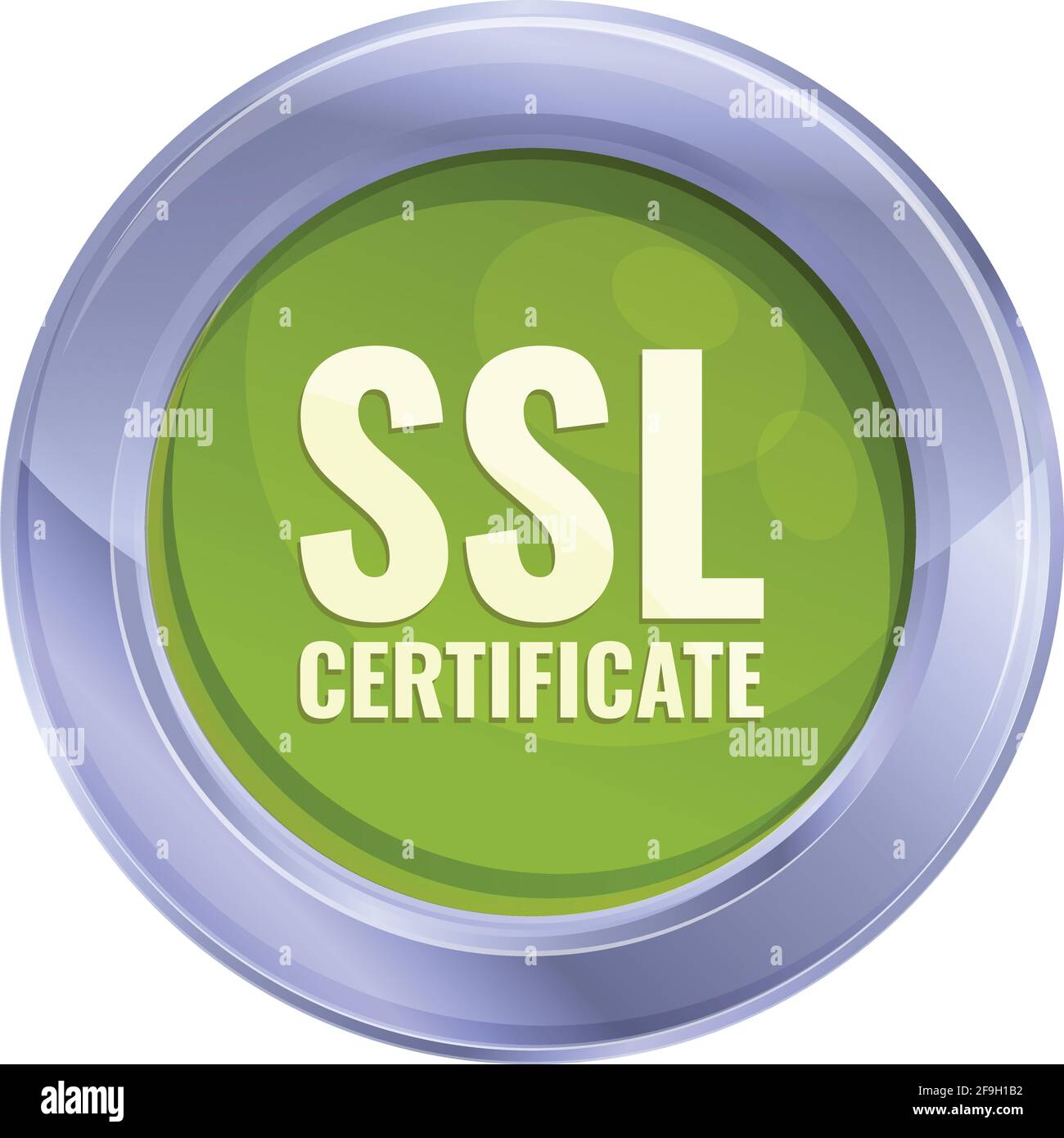 Symbol für privates ssl-Zertifikat. Cartoon von Private ssl-Zertifikat Vektor-Symbol für Web-Design isoliert auf weißem Hintergrund Stock Vektor