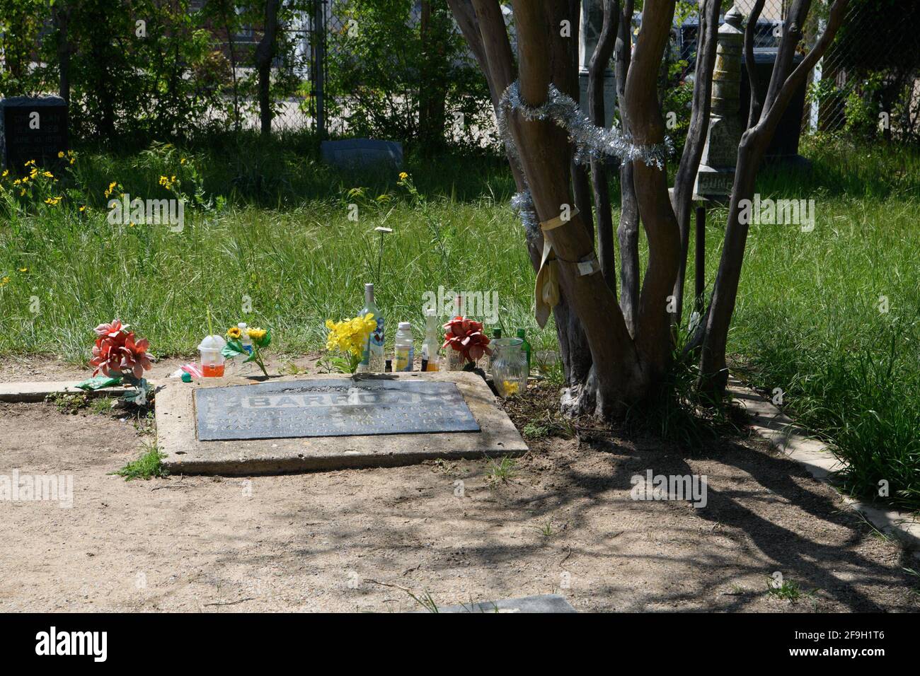 18. April 2021, Dallas, Texas: Bonnie Parker und Clyde Barrow fuhren am 23. Mai 1934 um 9:15 UHR IN eine Falle in der Nähe ihres Versteckes am Black Lake, Louisiana, und wurden in einer Staustufe von 167 Kugeln niedergeschossen. Bonnie Parker wurde voller Kugeln gefunden, die ein Maschinengewehr, ein Sandwich und eine Packung Zigaretten hielten.Clyde Barrow, kaum erkennbar, hielt einen Revolver fest.Obwohl sie im Leben miteinander verbunden waren, wurden Bonnie und Clyde in den Tod gespalten. Während das Paar Seite an Seite begraben werden wollte, ließ Bonnie's Mutter, die ihre Beziehung zu Clyde abgelehnt hatte, ihre Tochter in einem separaten Dall begraben Stockfoto