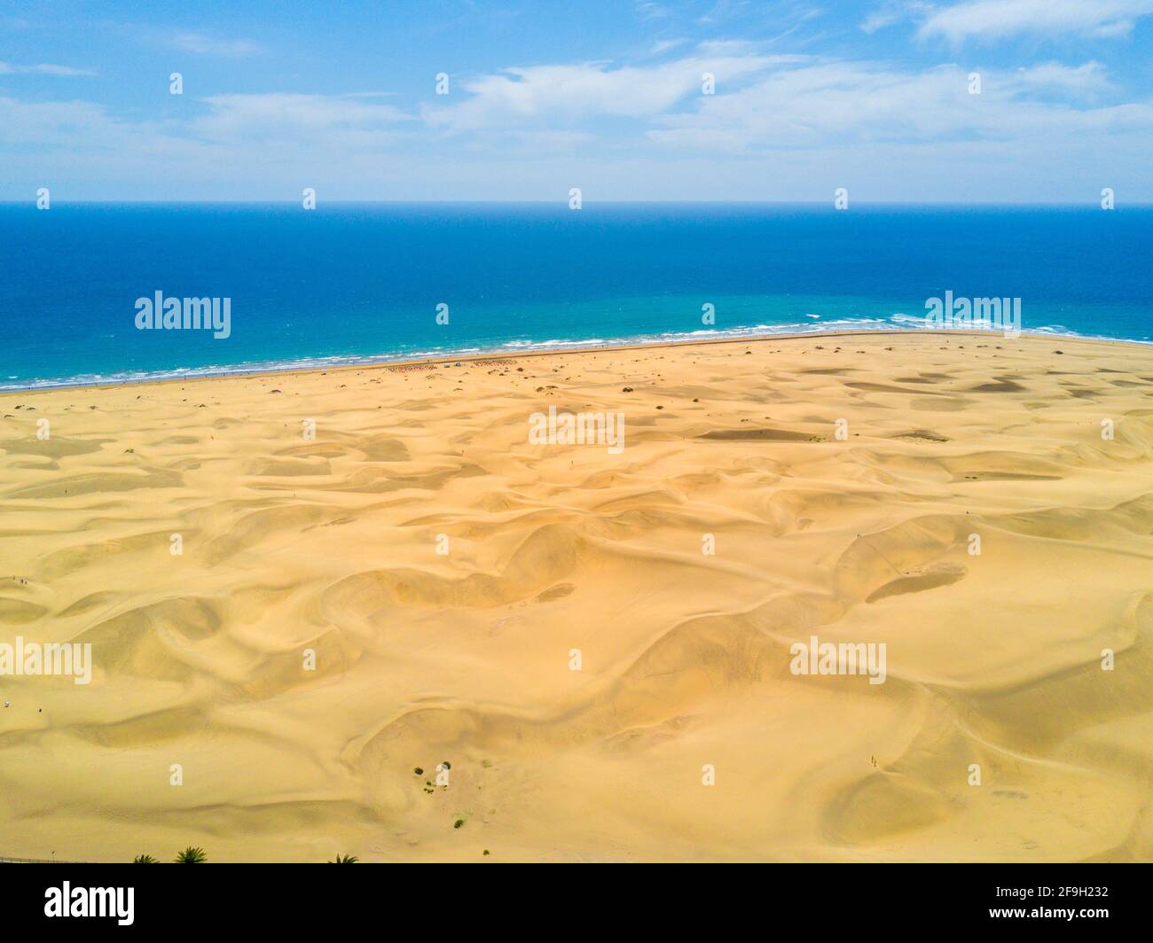 Ein Vogelgesich der malerischen Wüste am Atlantik meeresküste Stockfoto