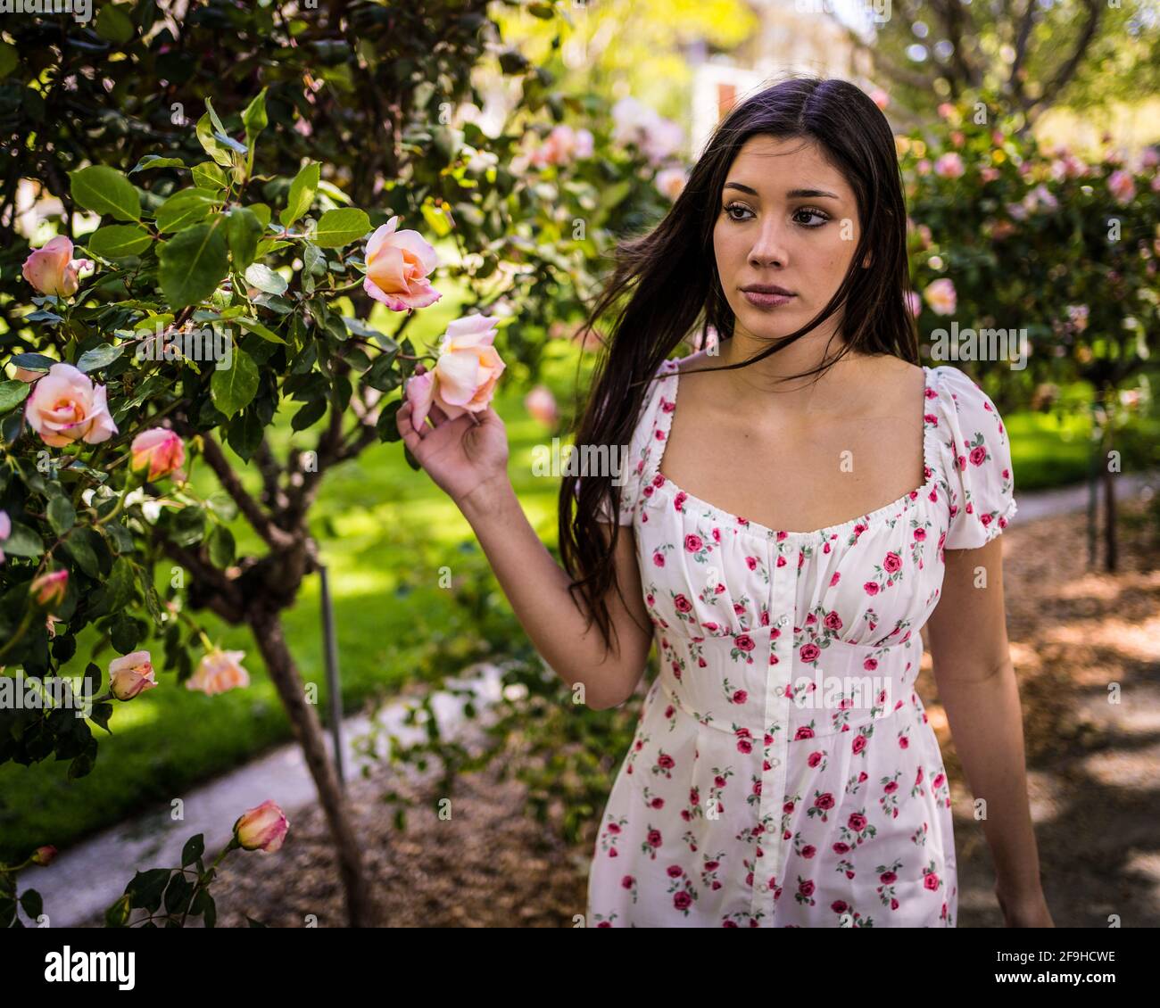 Schöne Latina Teen bewundern Rosen in einem Garten in lite Kleid für den Frühling Stockfoto