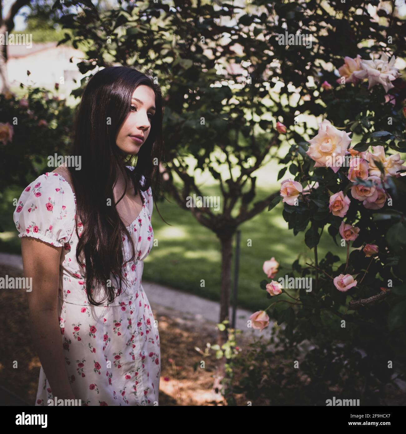 Schöne Latina Teen bewundern Rosen in einem Garten in lite Kleid für den Frühling Stockfoto