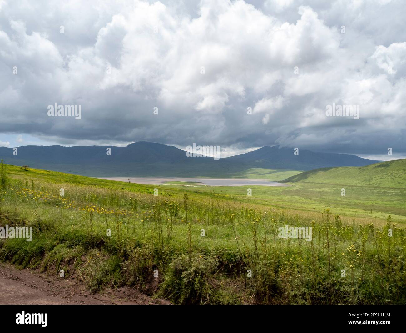 Ngorongoro Krater, Tansania, Afrika - 1. März 2020: Panoramaficht auf den Ngorongoro Krater von oben Stockfoto