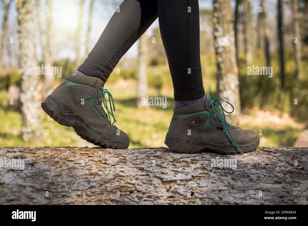 Person, die durch den Wald in der Natur geht. Gesunder Lebensstil. Stiefel im Vordergrund Stockfoto