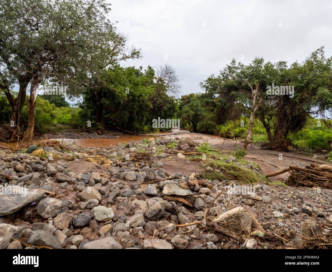 Lake Manyara, Tansania, Afrika - 2. März 2020: Fluss durch den See Maynara Stockfoto