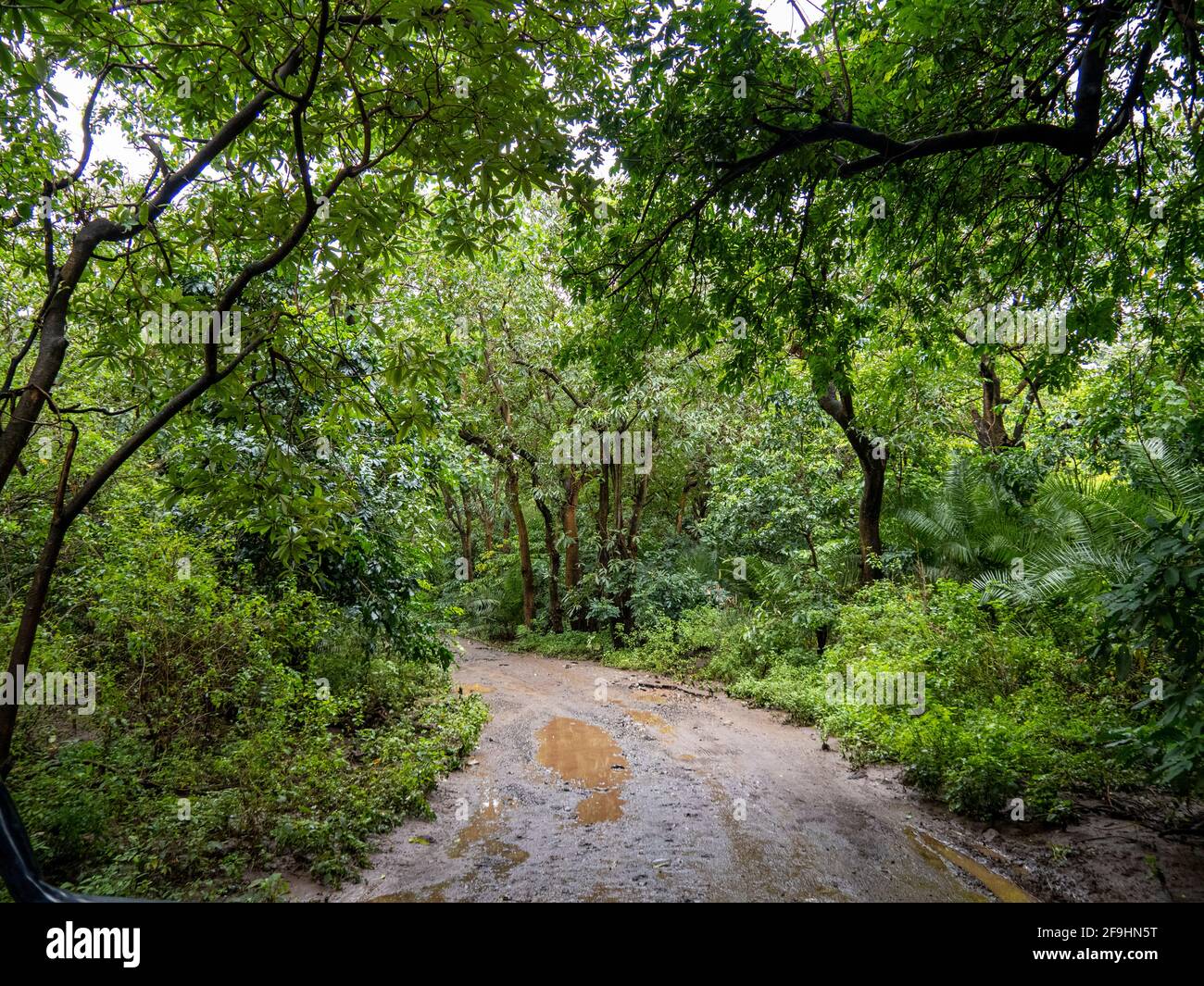 Lake Manyara, Tansania, Afrika - 2. März 2020: Straße durch den Lake Maynara Stockfoto