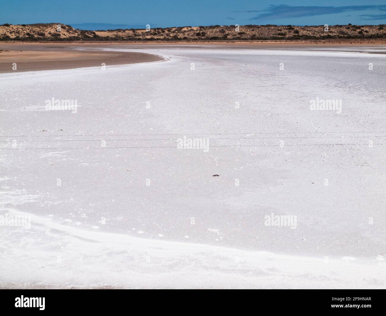 Salt Lake in der Nähe des Lake Macleod auf der Blowholes Rd bei Carnarvon, Westaustralien Stockfoto