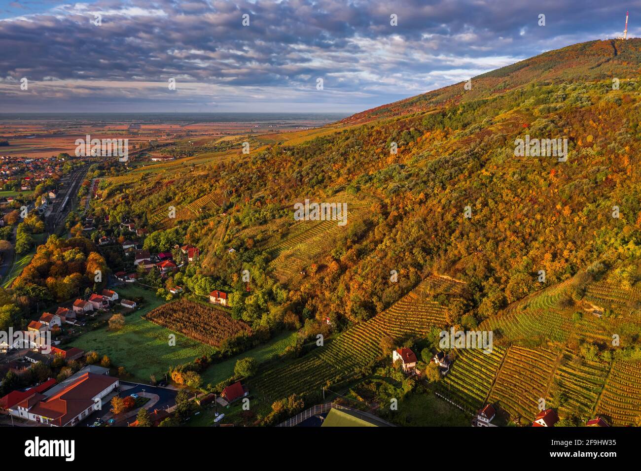 Tokaj, Ungarn - Luftaufnahme der goldenen Weinberge auf den Hügeln der Weinregion Tokaj an einem warmen sonnigen Herbstmorgen. Blauer Himmel und Wolken Stockfoto